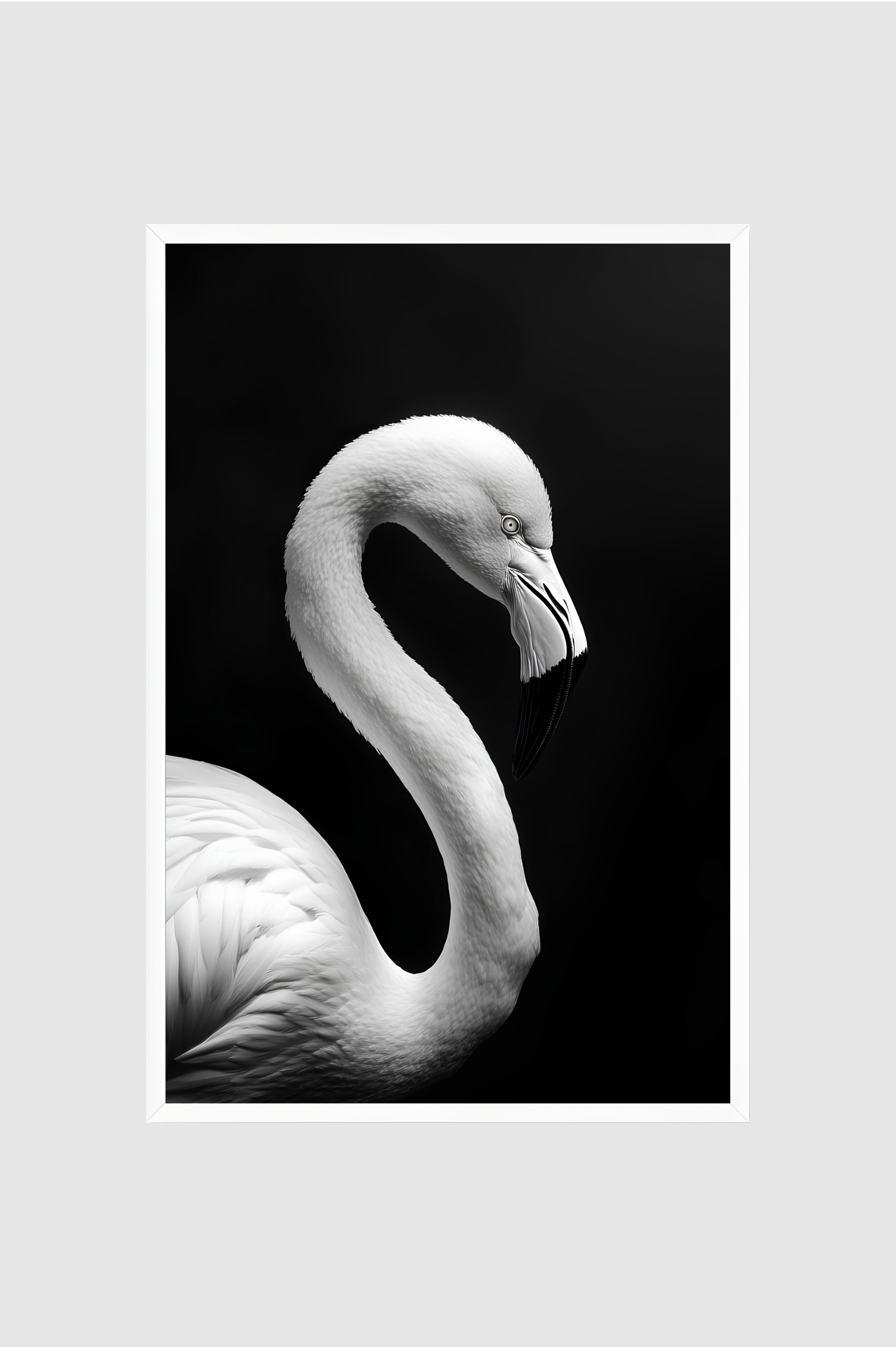 Fauna no.010