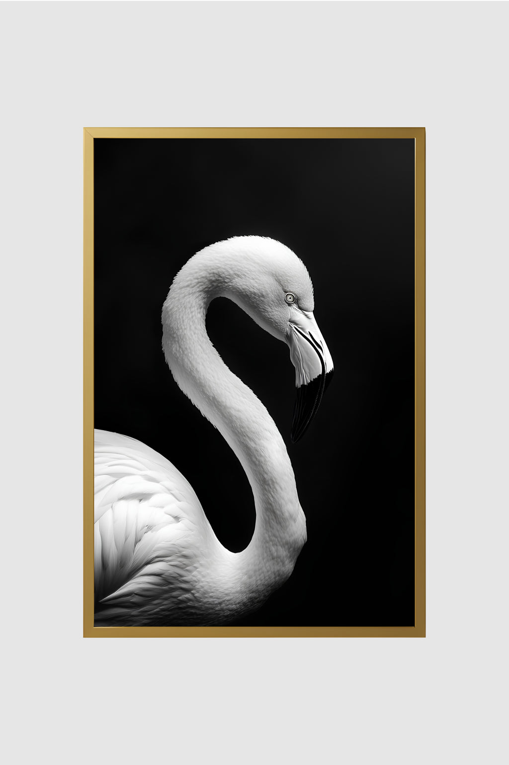 Fauna no.010