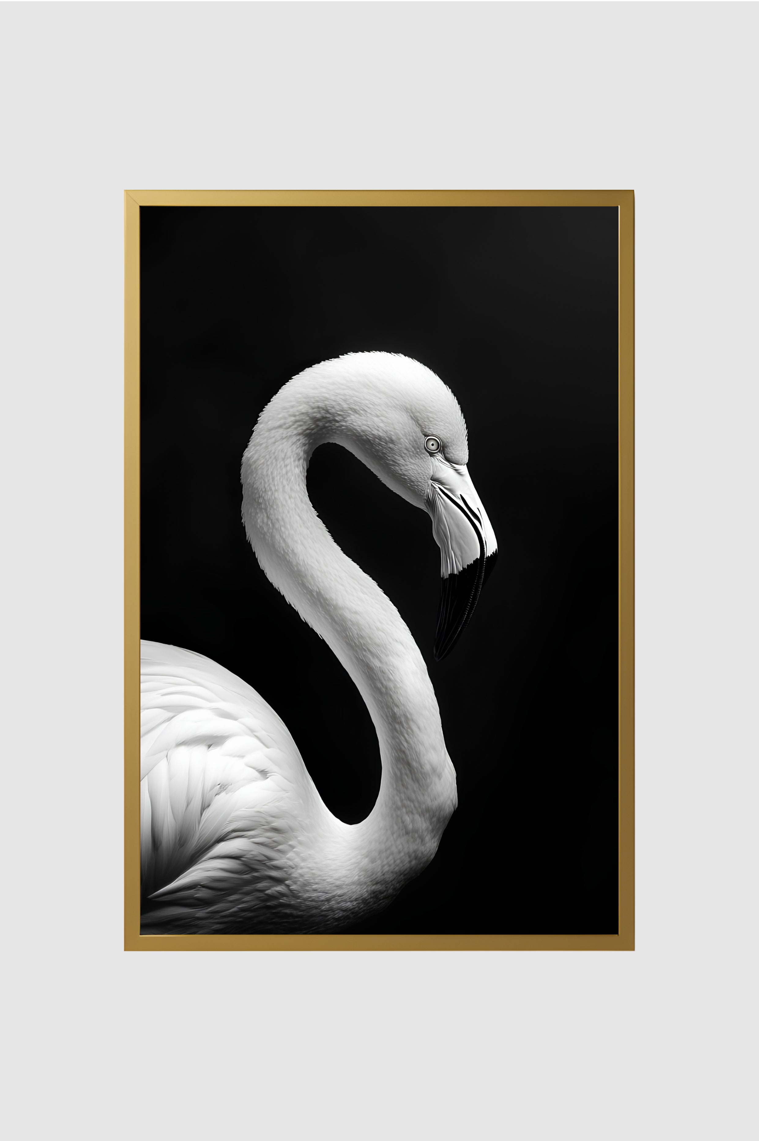 Fauna no.010