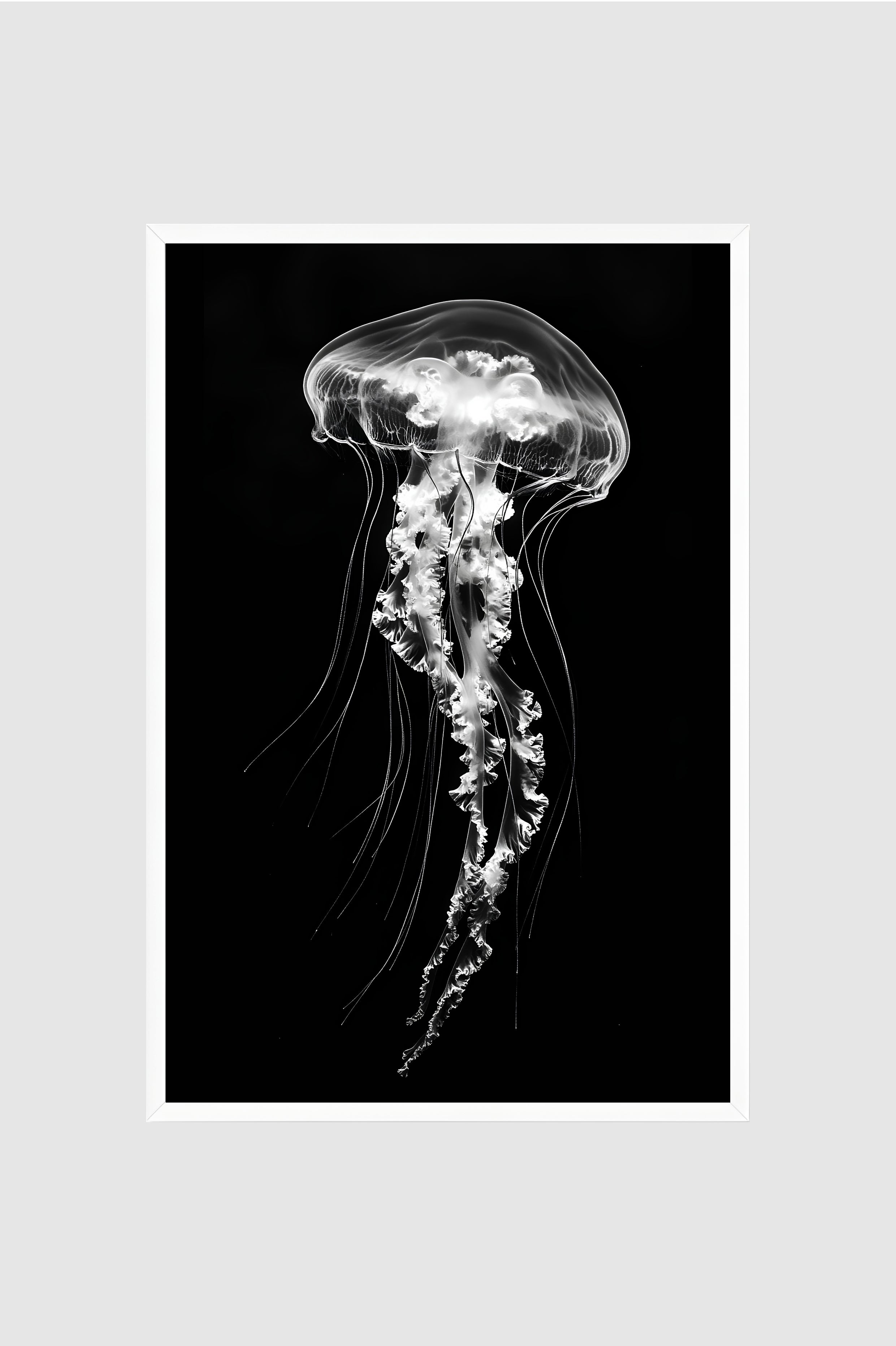 Fauna no.011