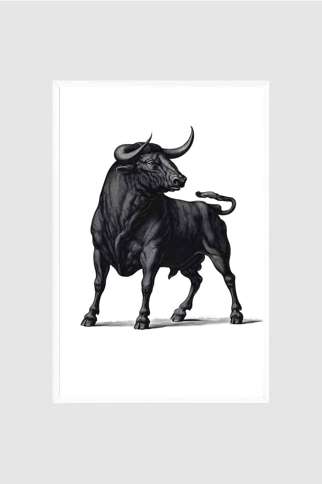 Toro no.011