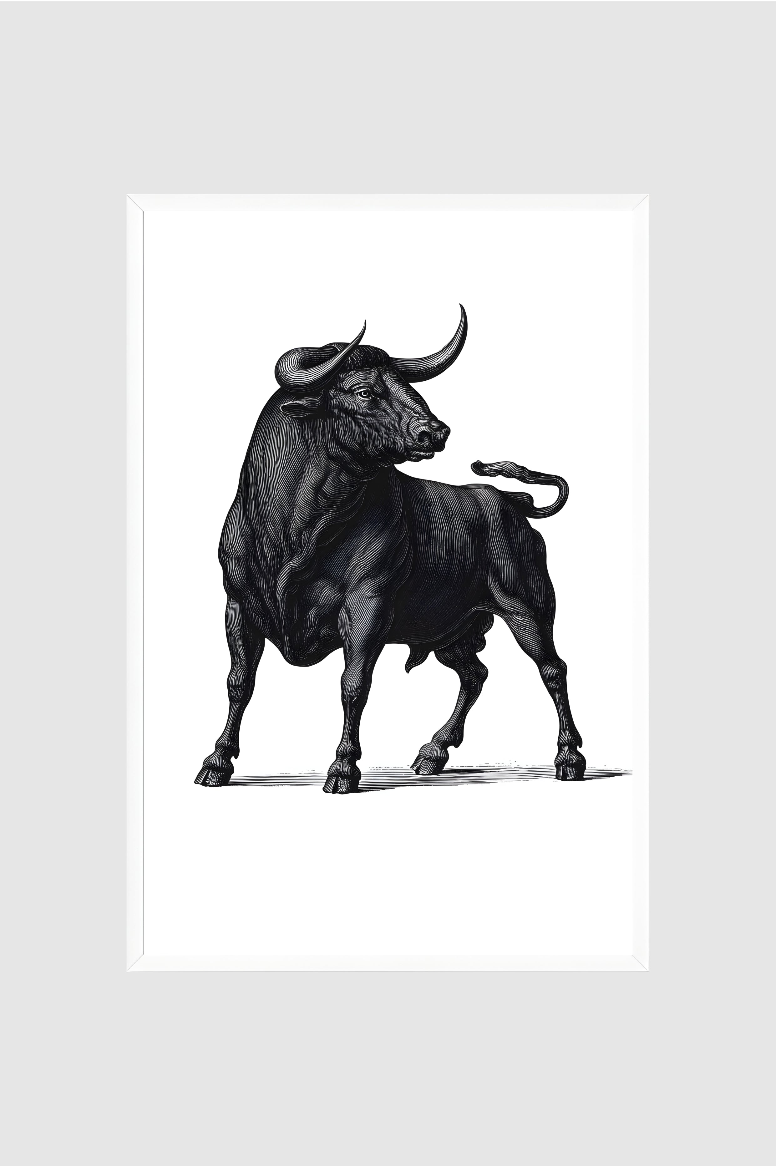 Toro no.011