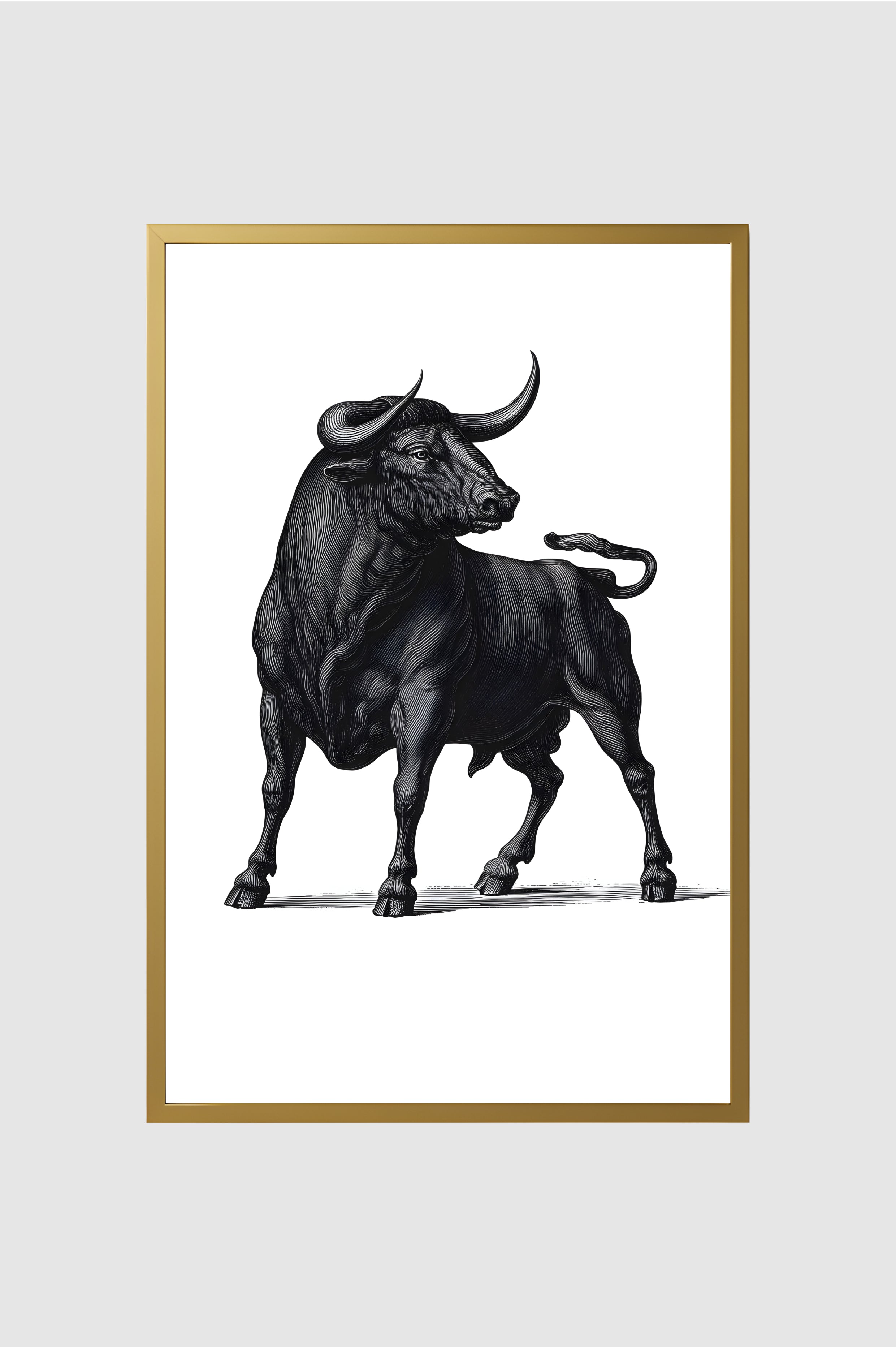 Toro no.011