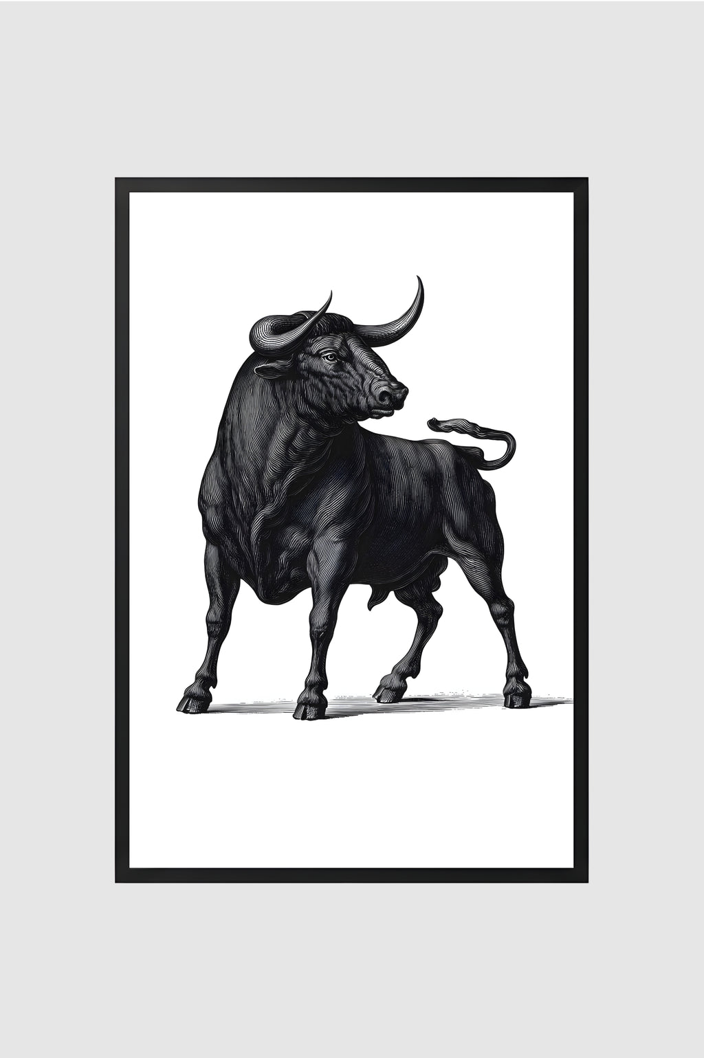 Toro no.011