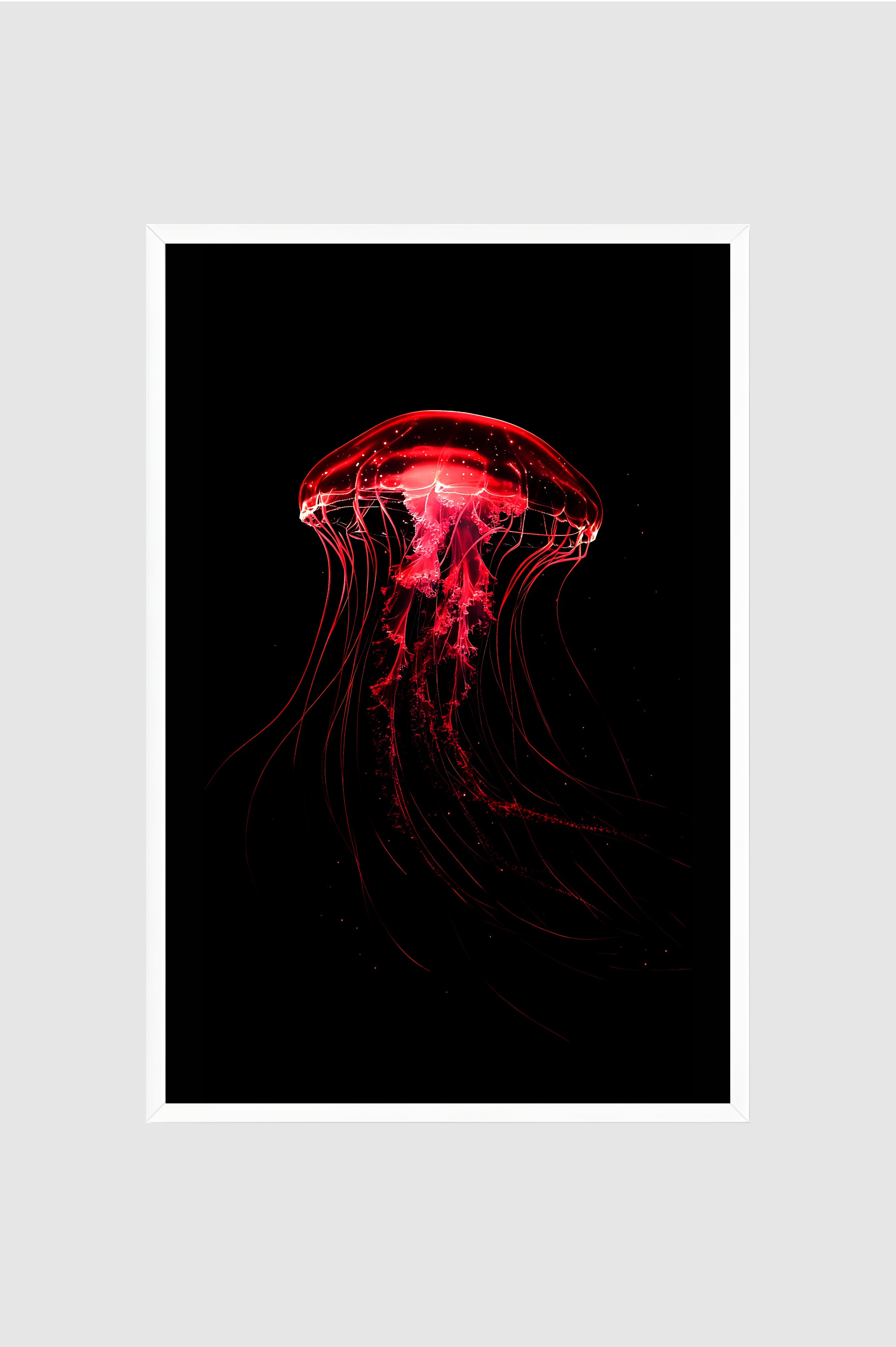 Fauna no.012