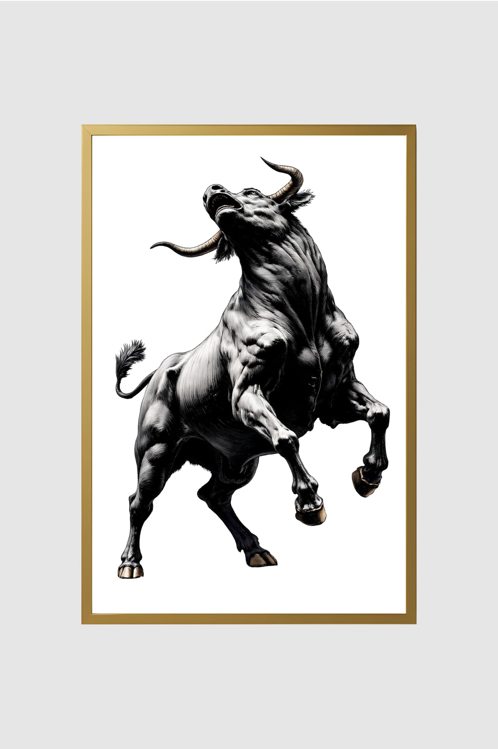 Toro no.012