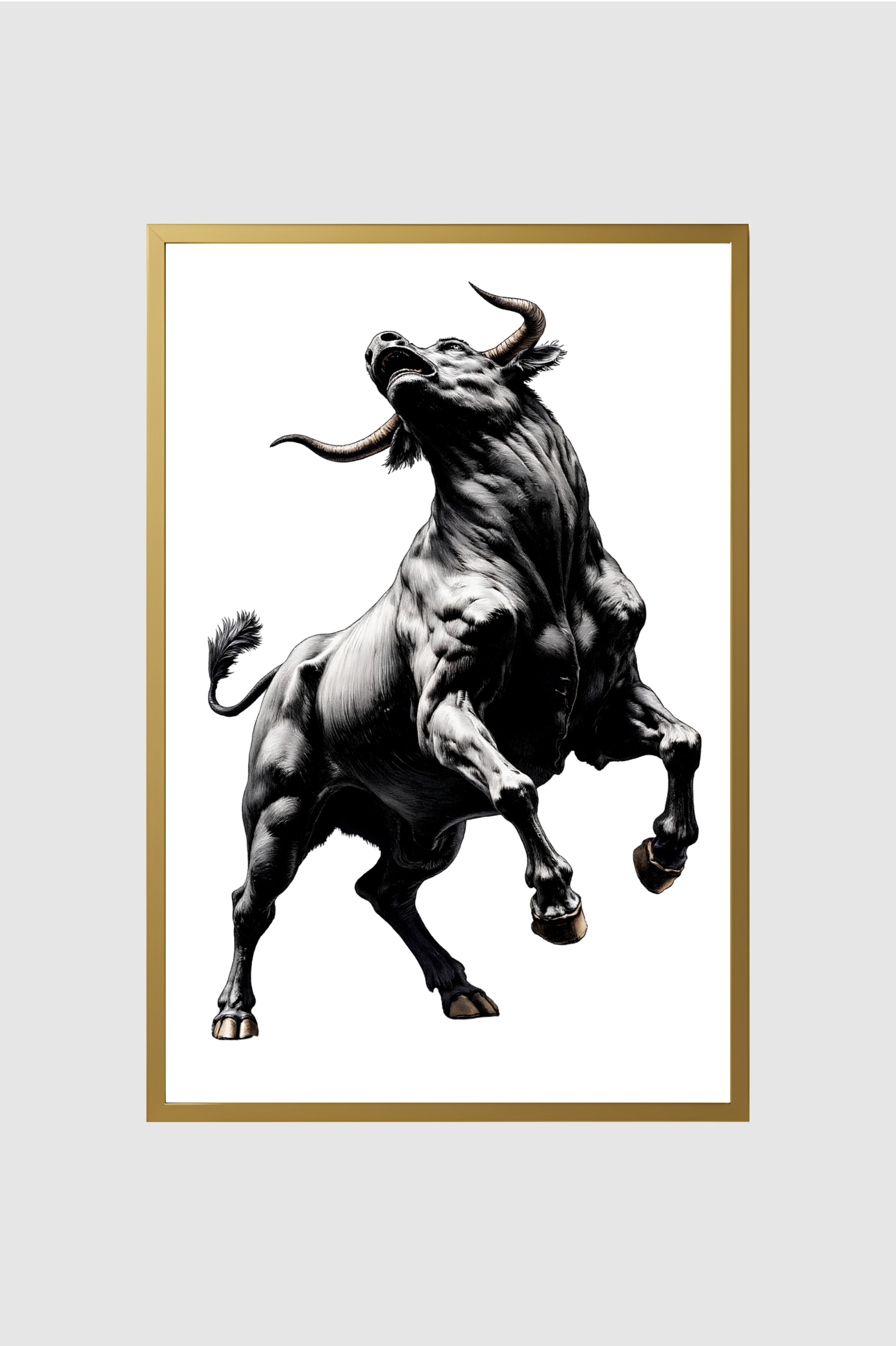 Toro no.012