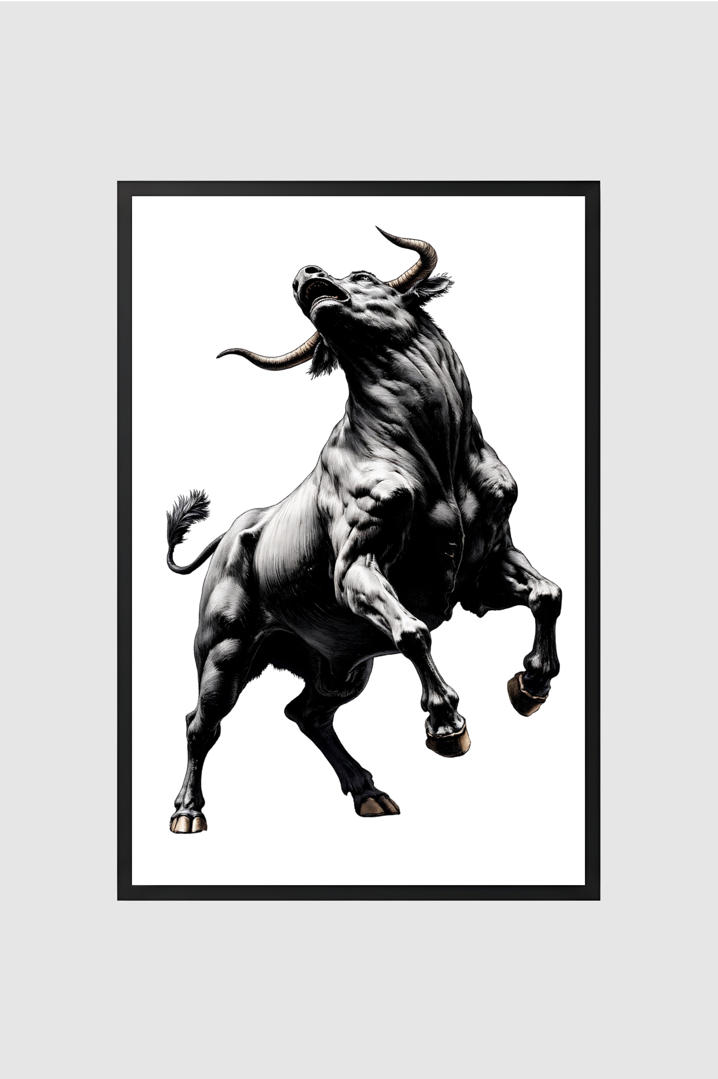 Toro no.012
