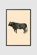 Toro no.013