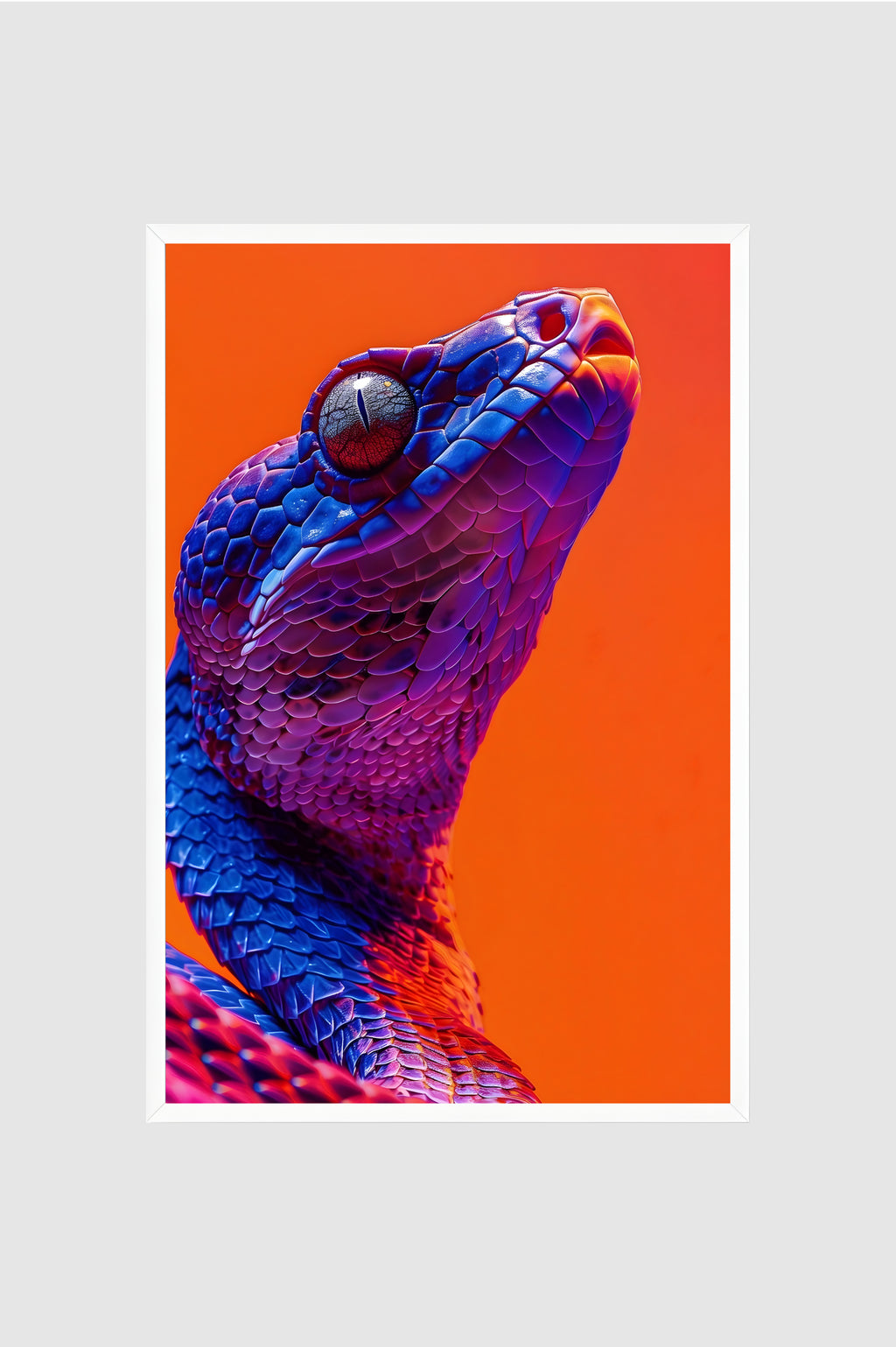 Fauna no.016