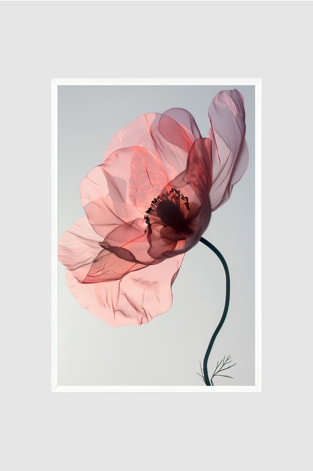 Flores no.016