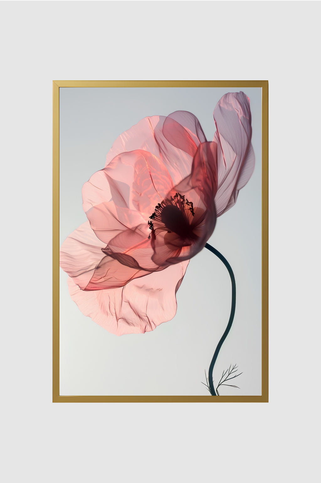 Flores no.016