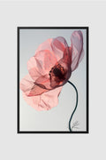 Flores no.016