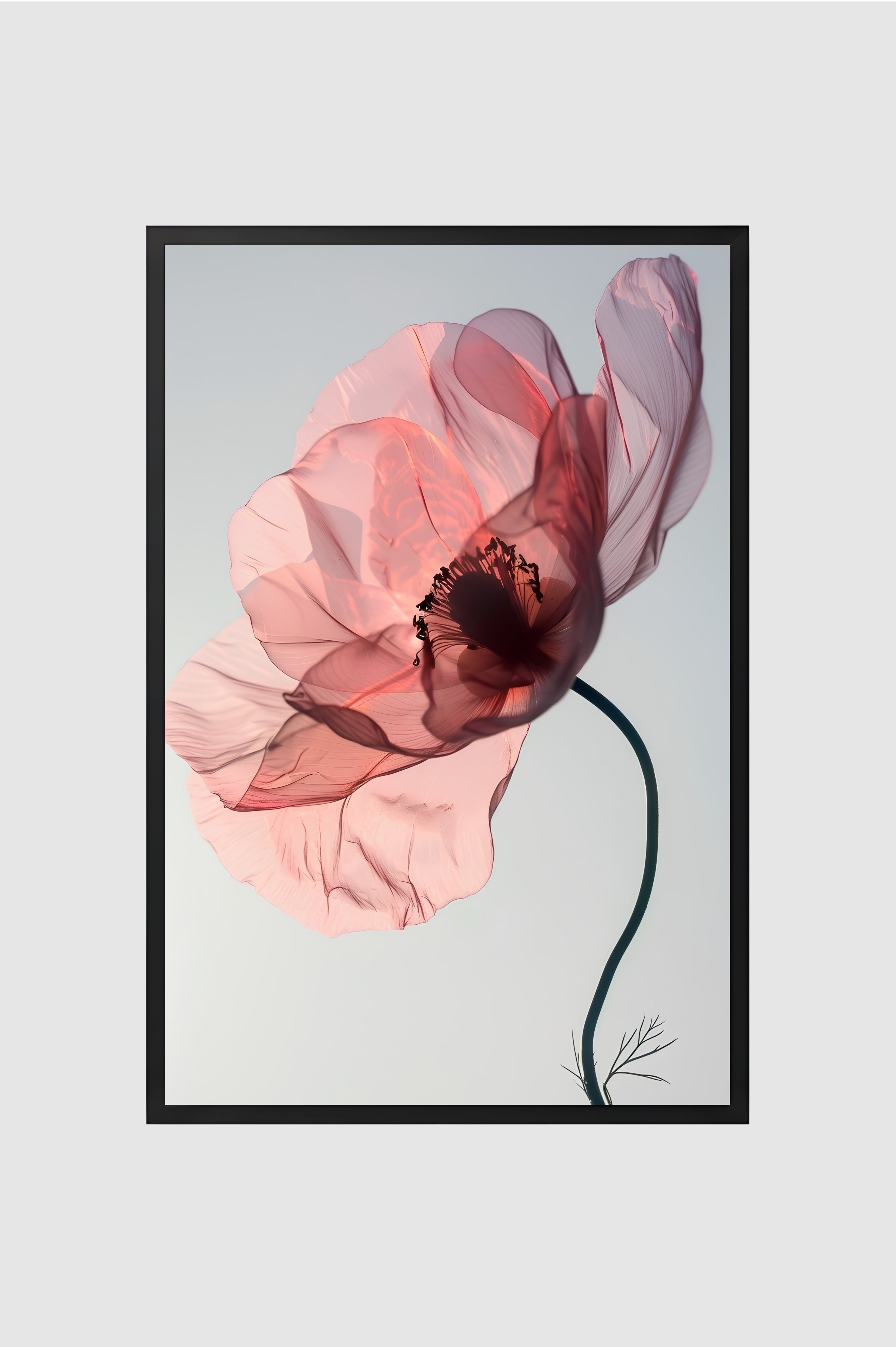 Flores no.016
