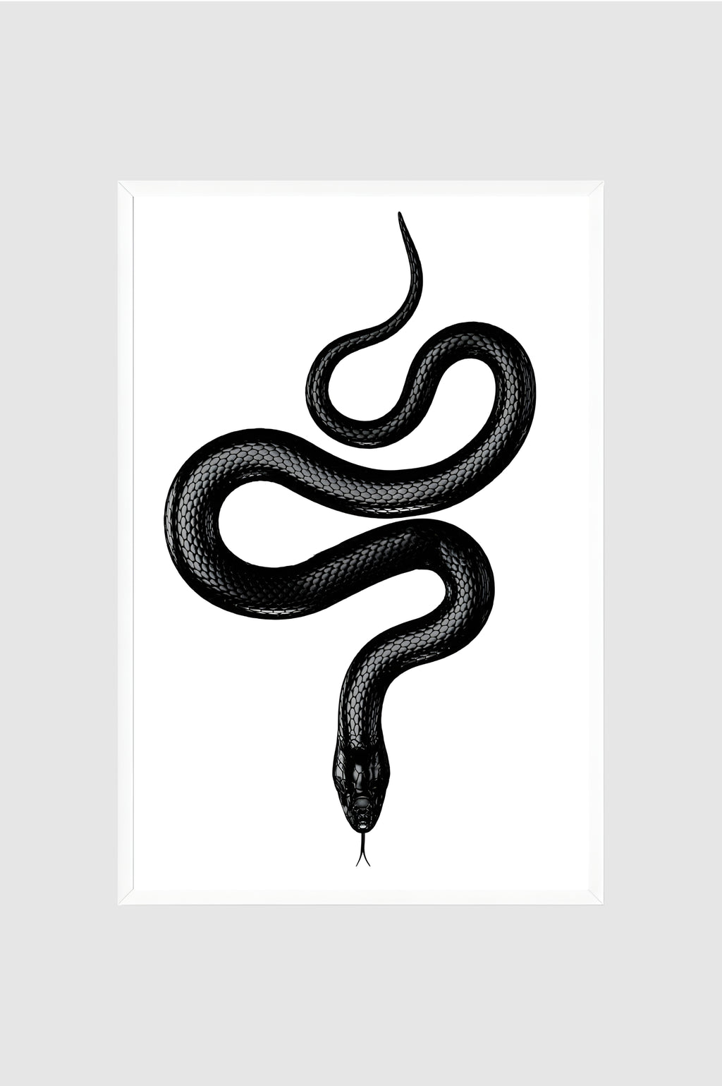 Fauna no.018