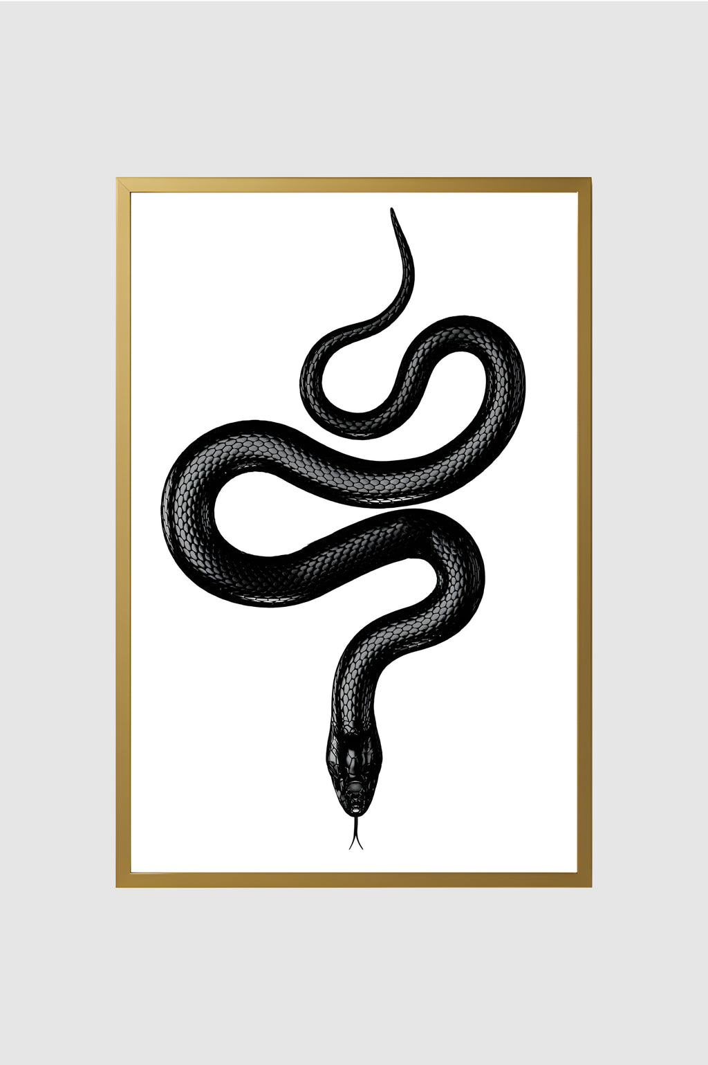 Fauna no.018