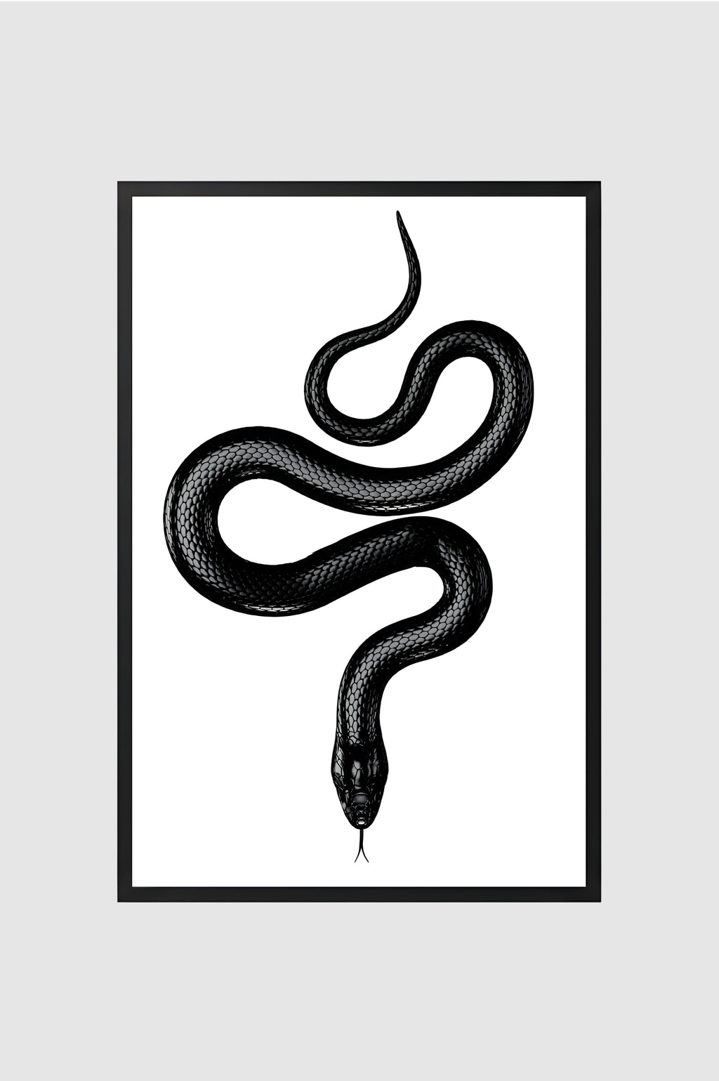 Fauna no.018