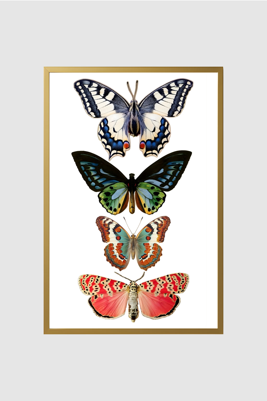 Fauna no.019