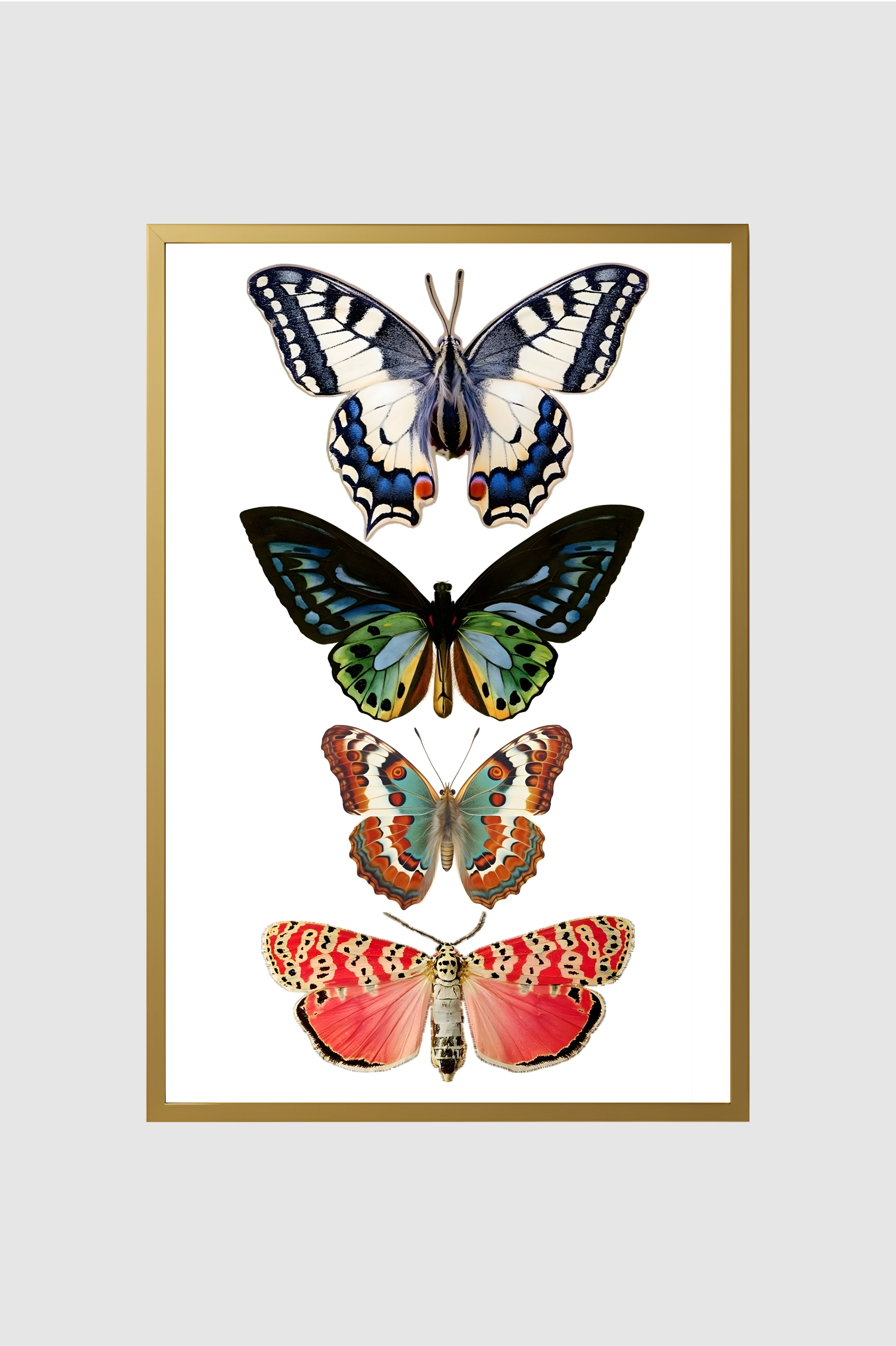Fauna no.019