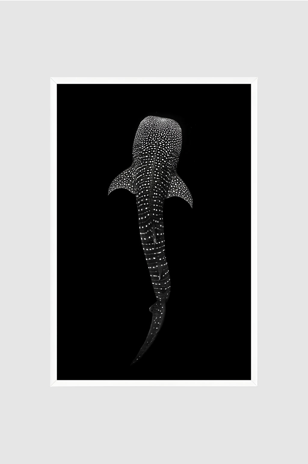 Fauna no.001
