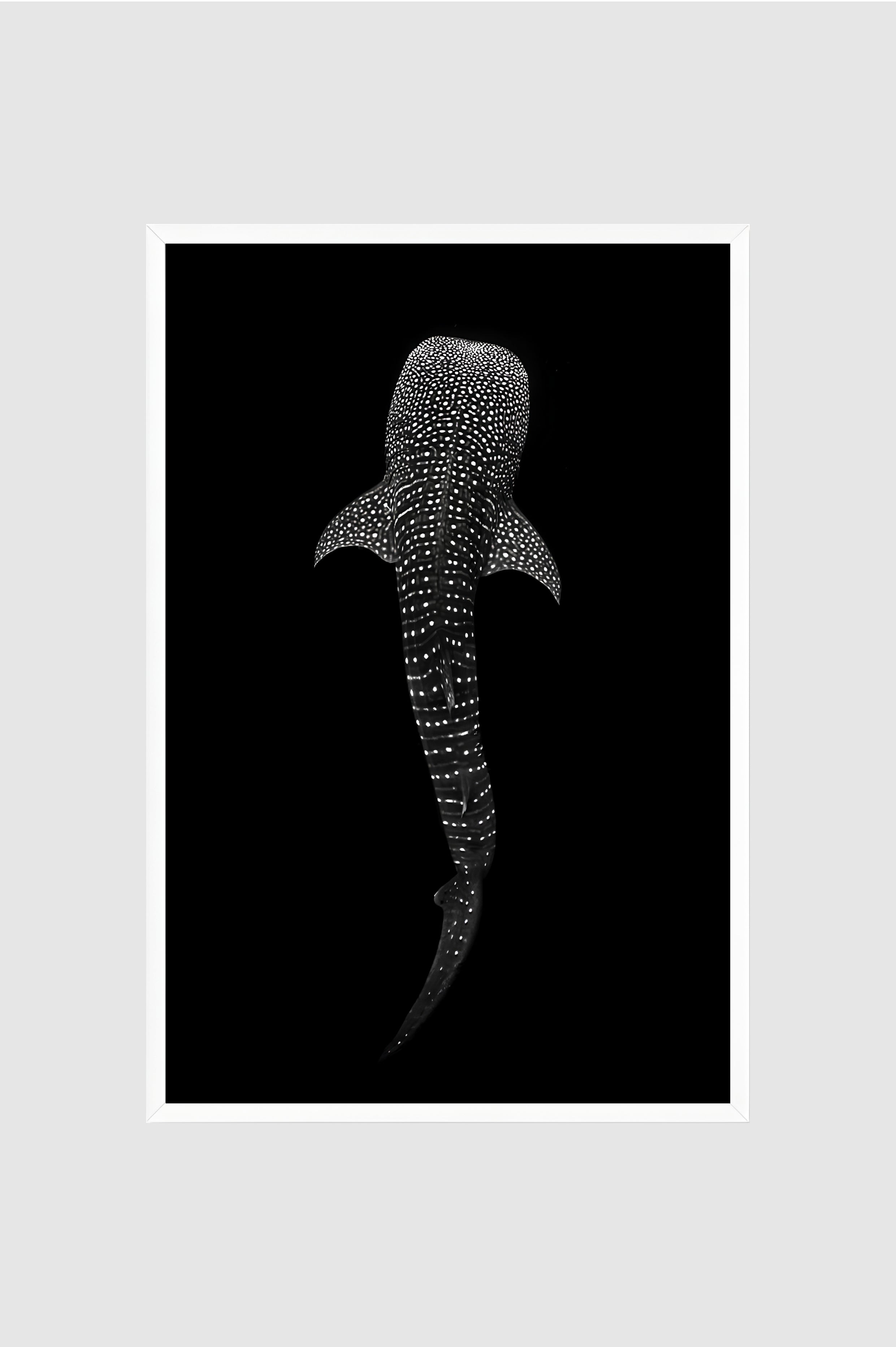 Fauna no.001