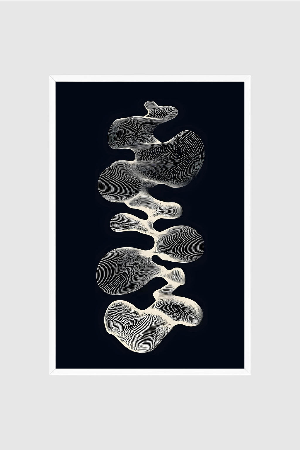 Black and White no.001