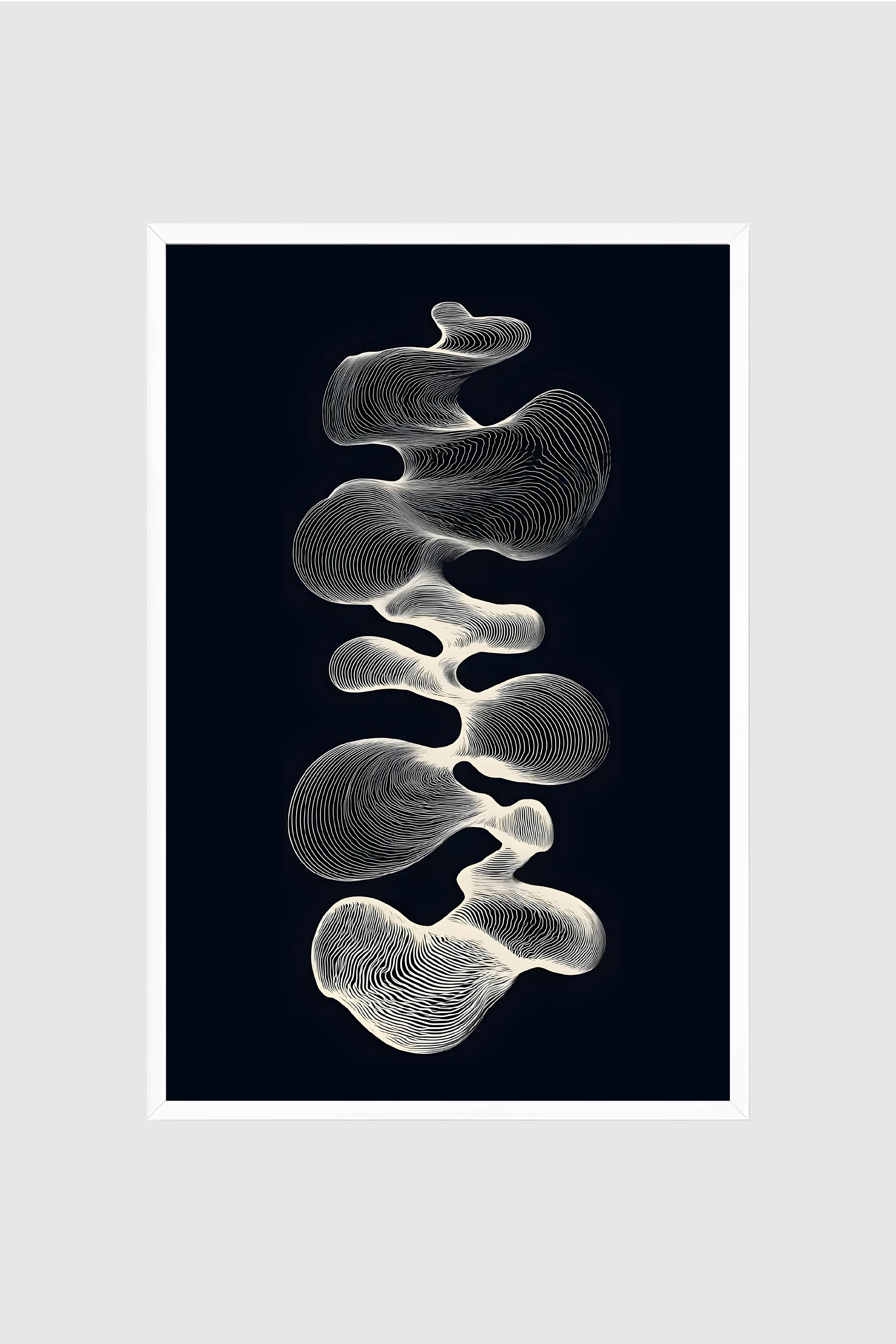 Black and White no.001