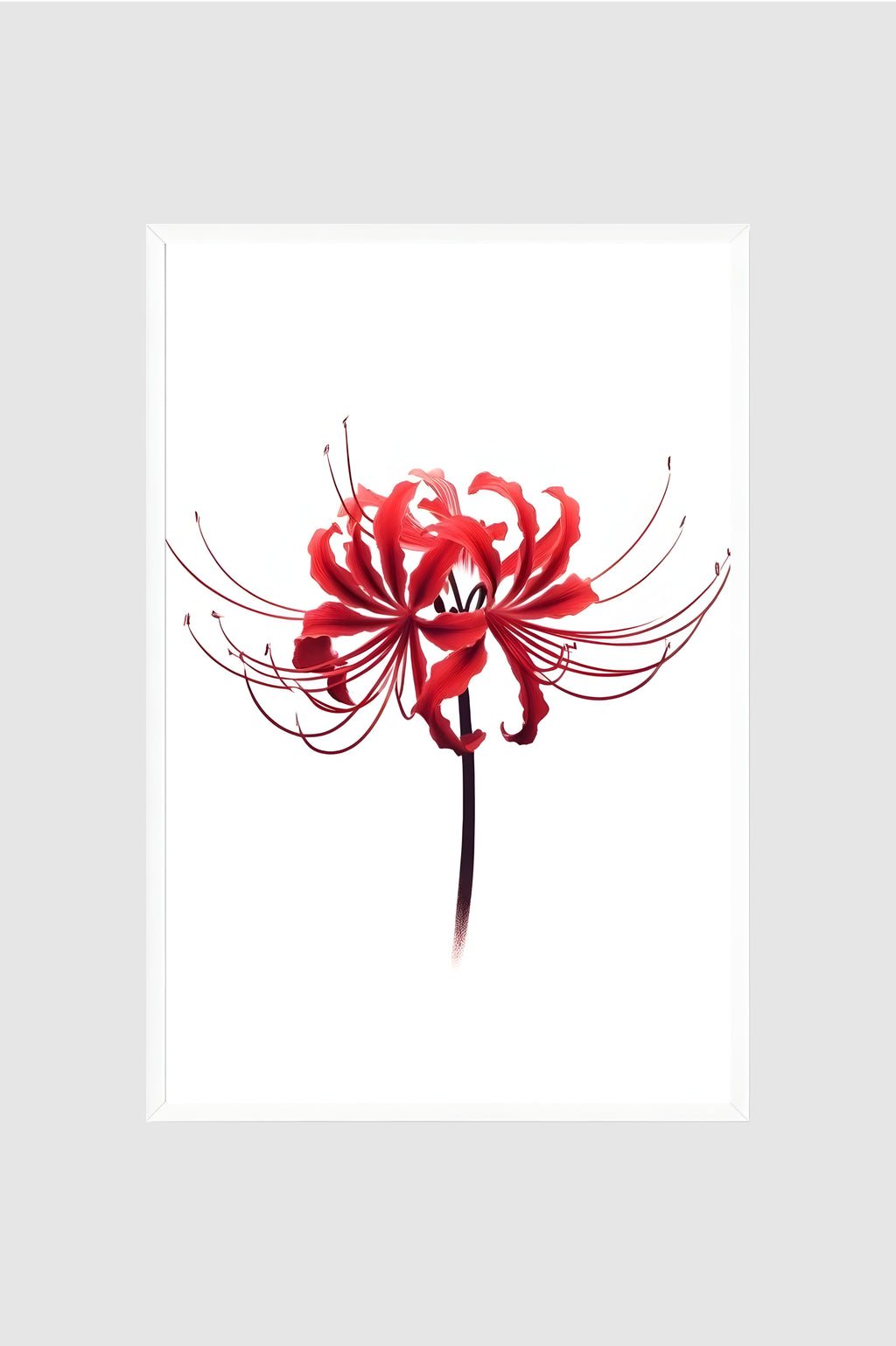 Flores no.001