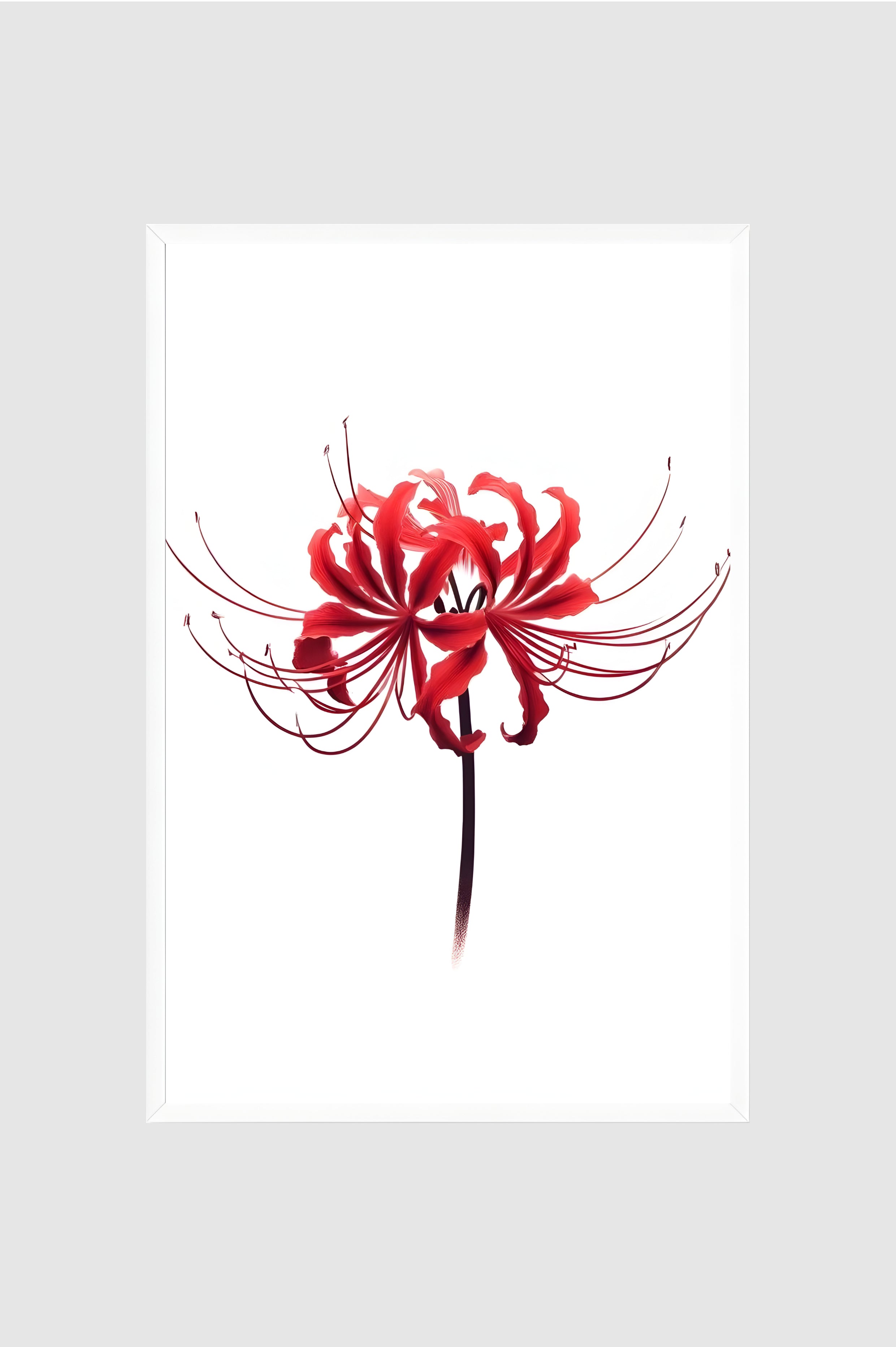Flores no.001