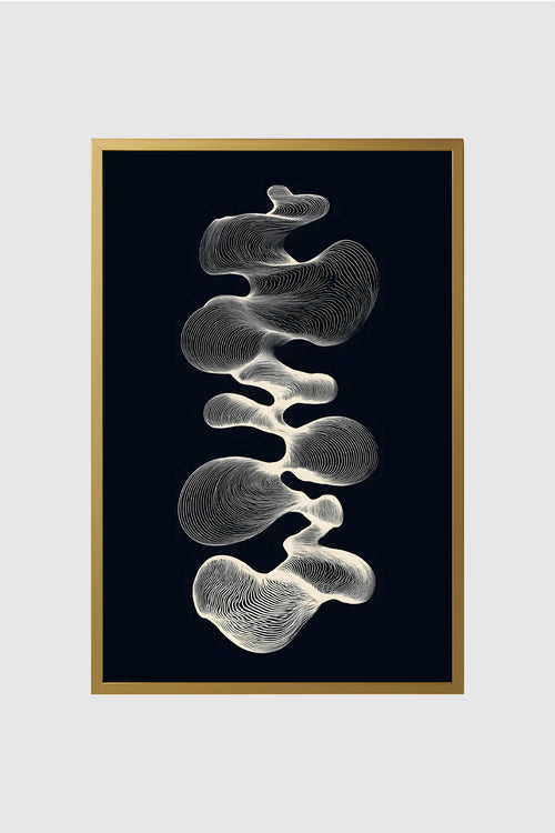 Black and White no.001