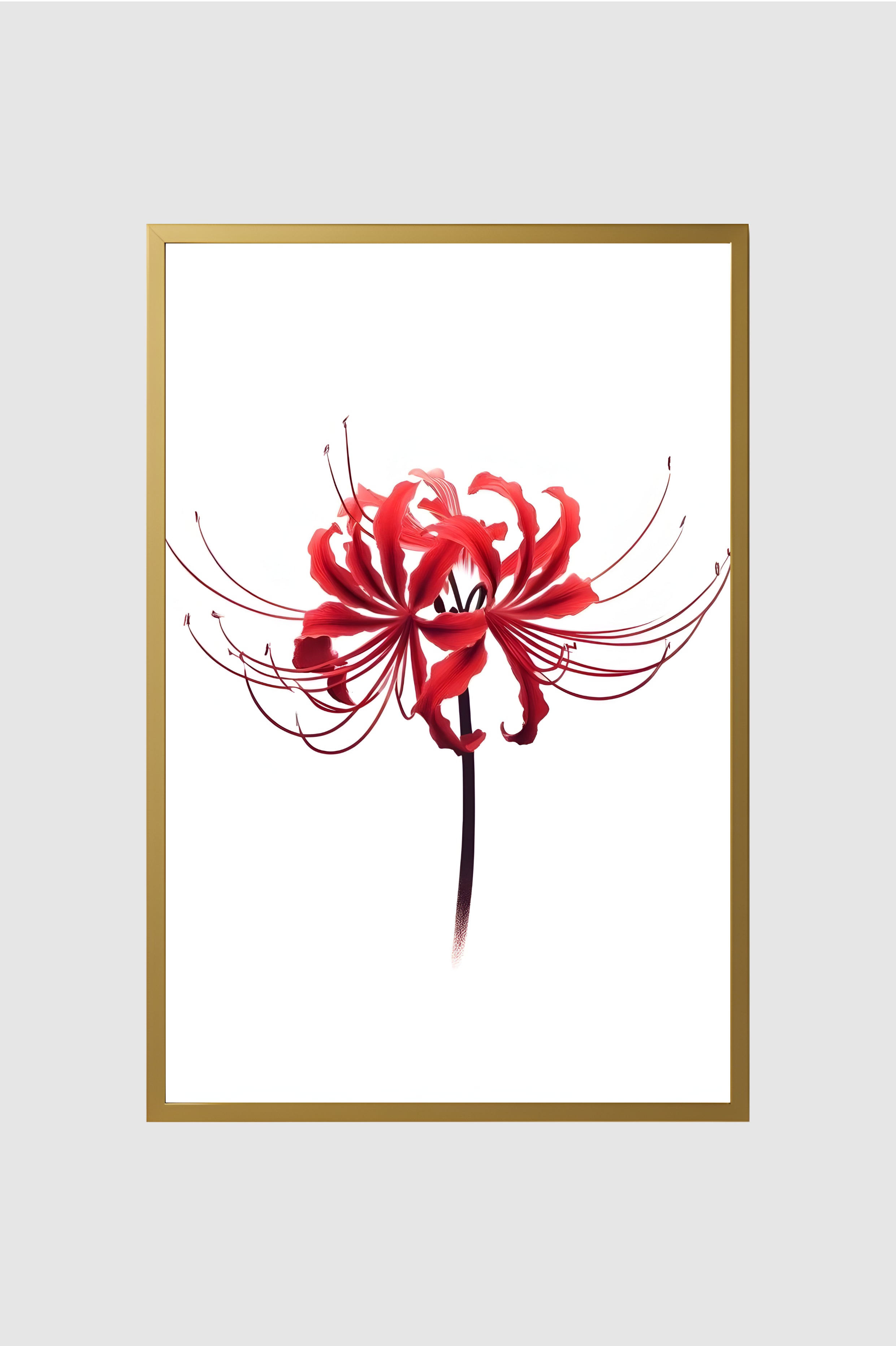 Flores no.001