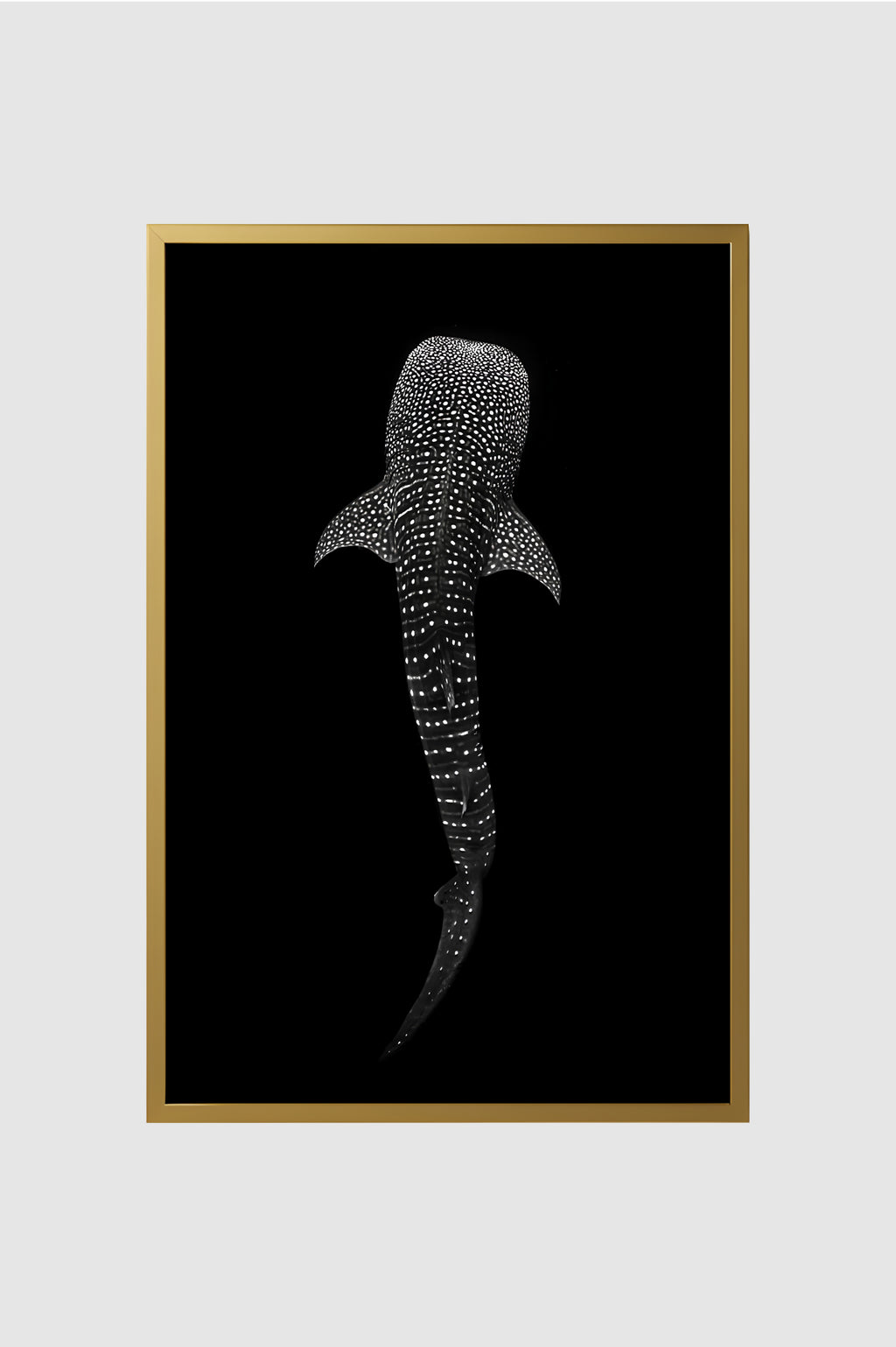 Fauna no.001