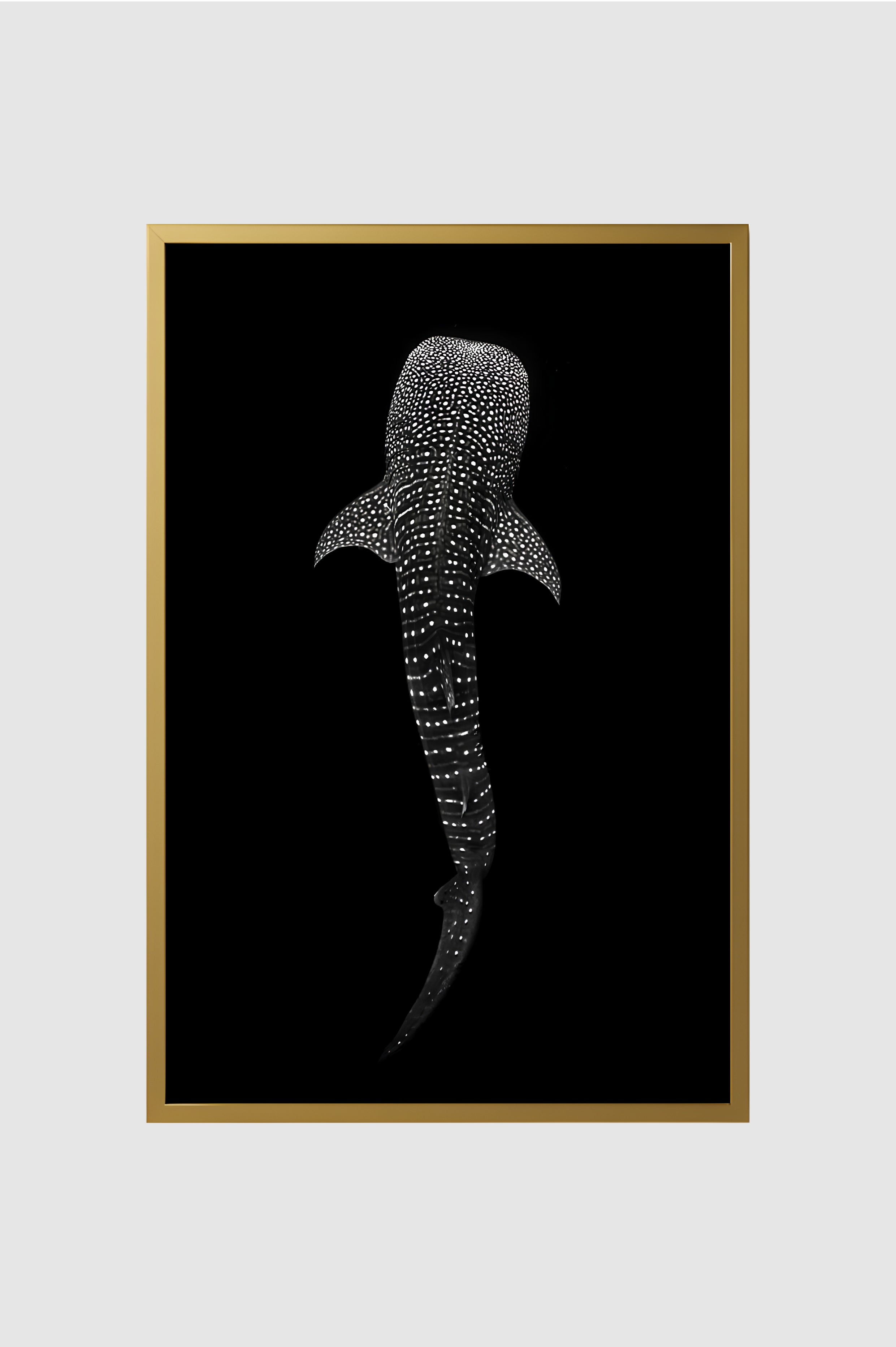 Fauna no.001