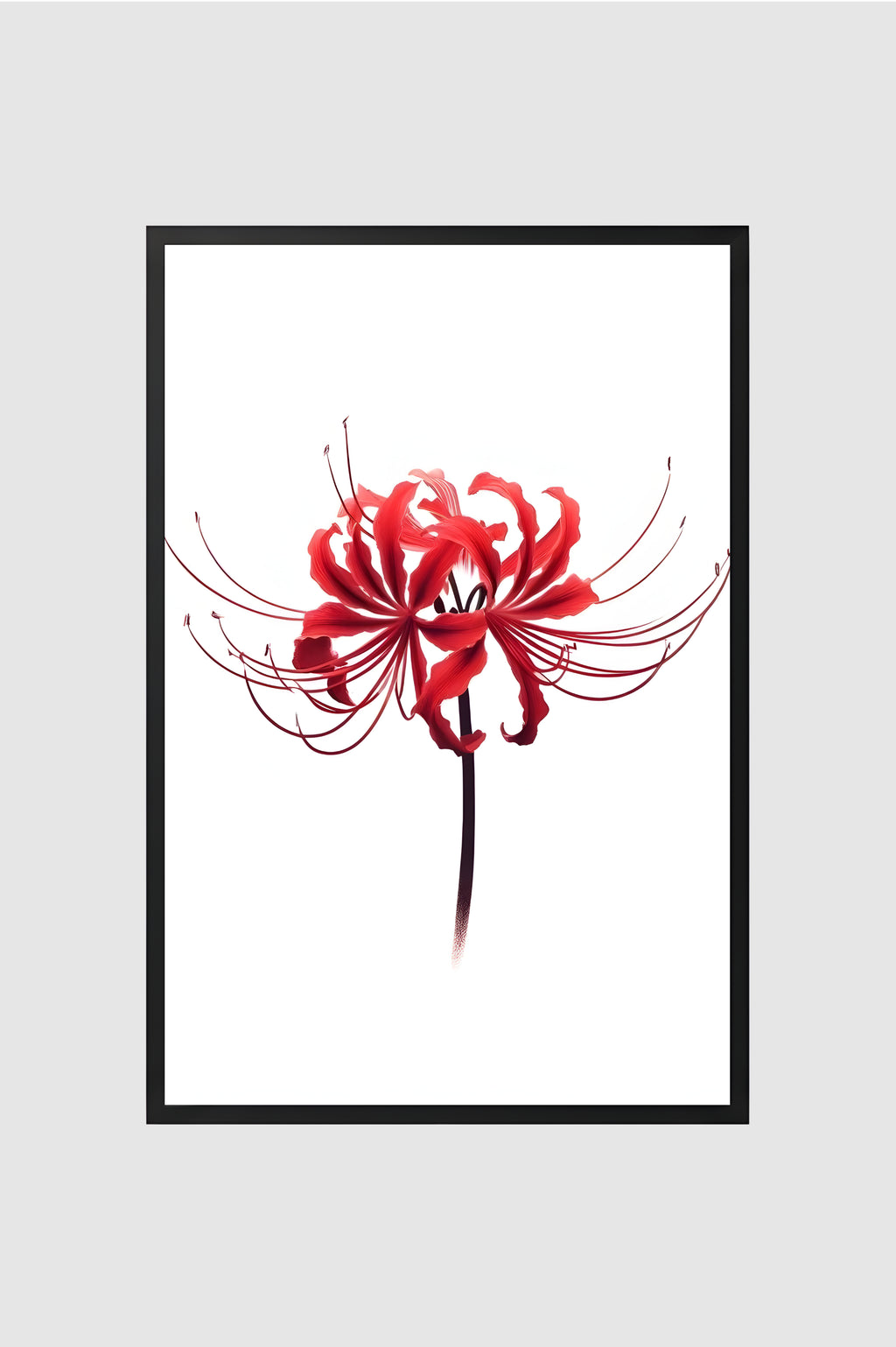 Flores no.001