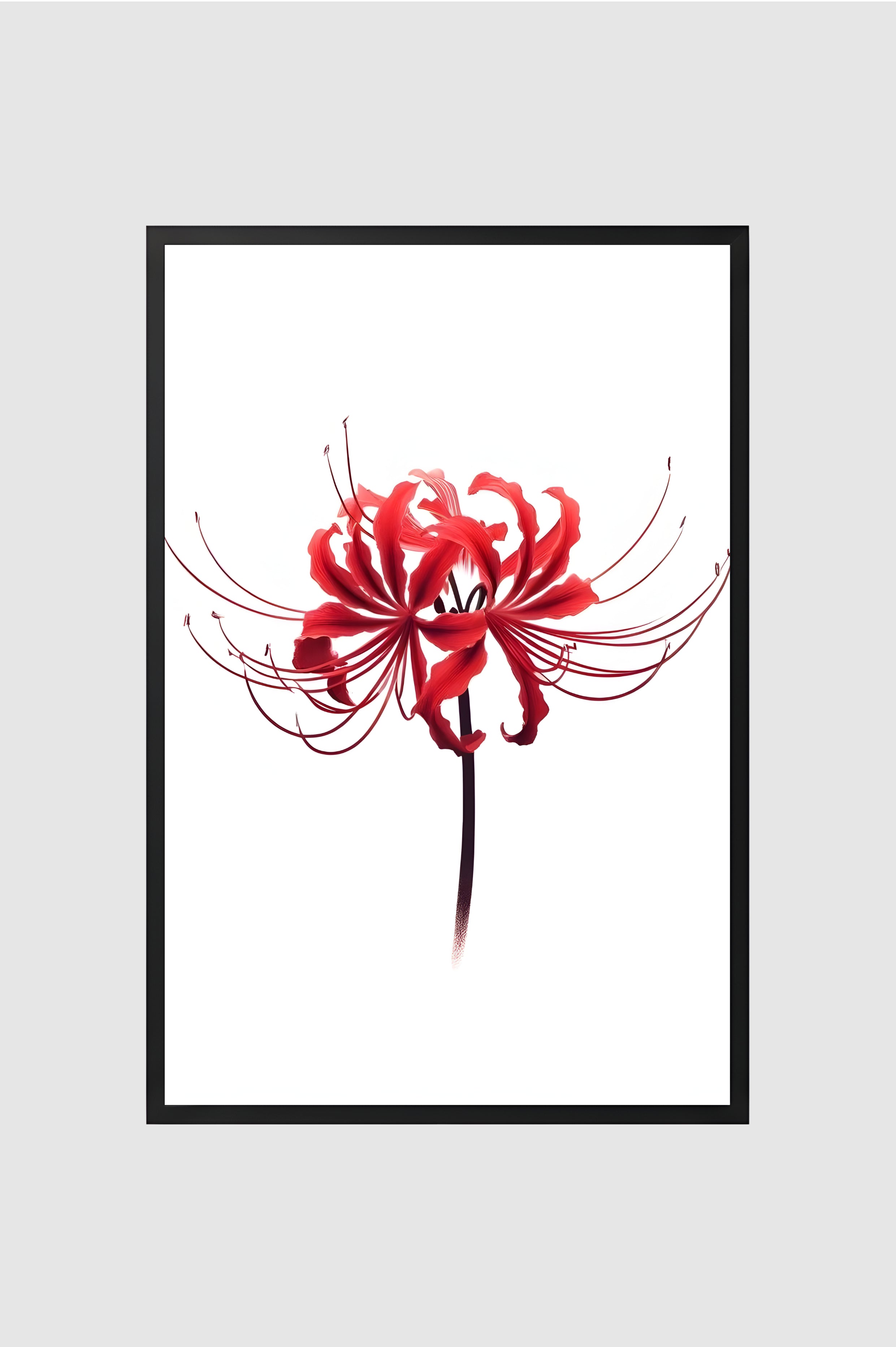 Flores no.001