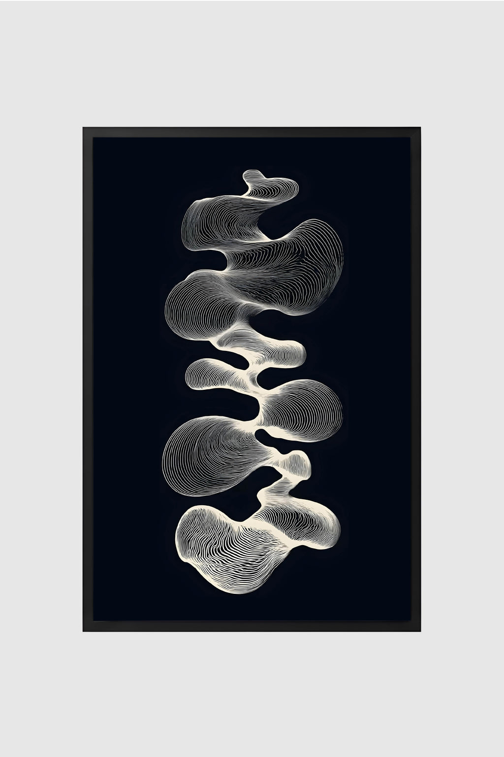 Black and White no.001