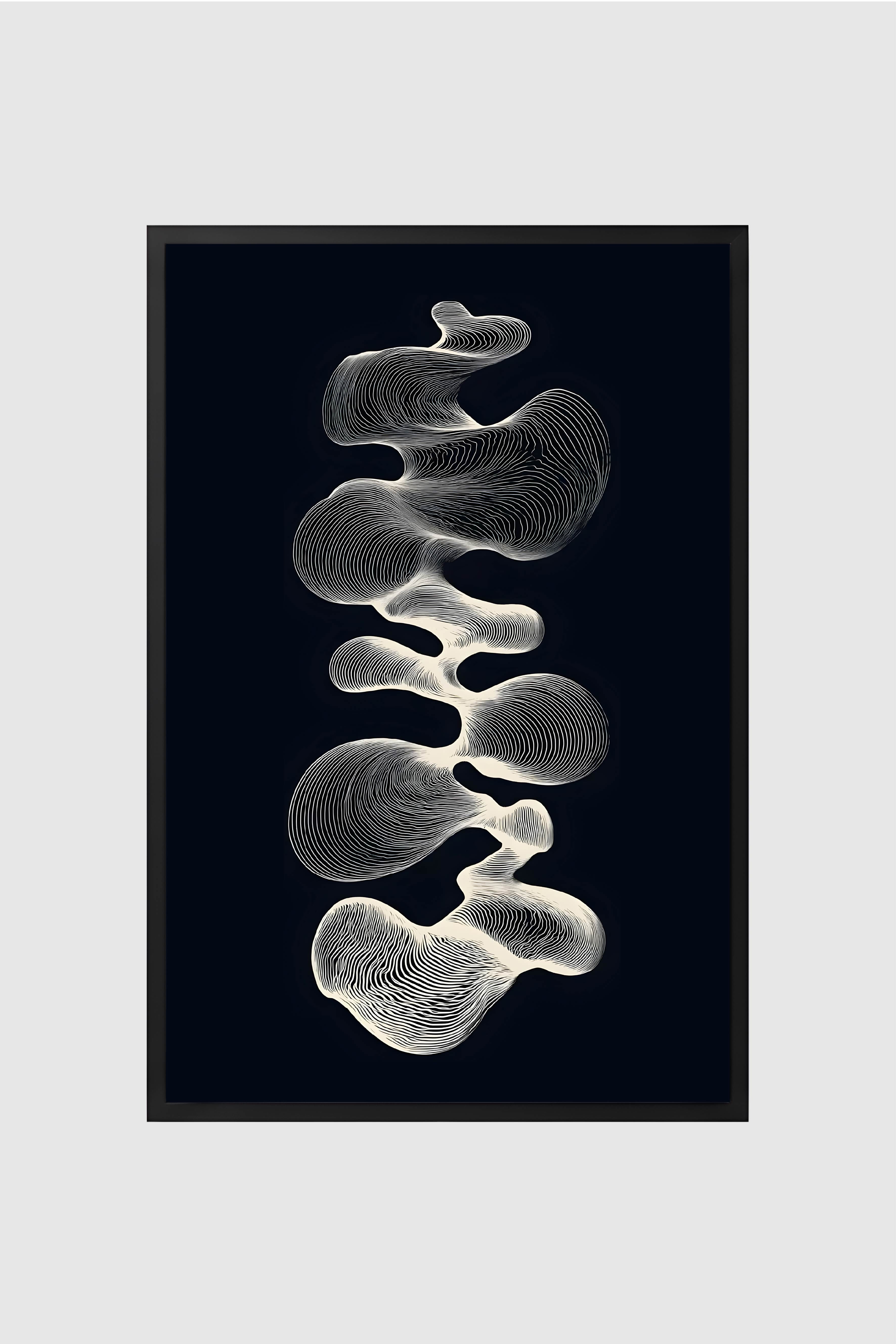 Black and White no.001