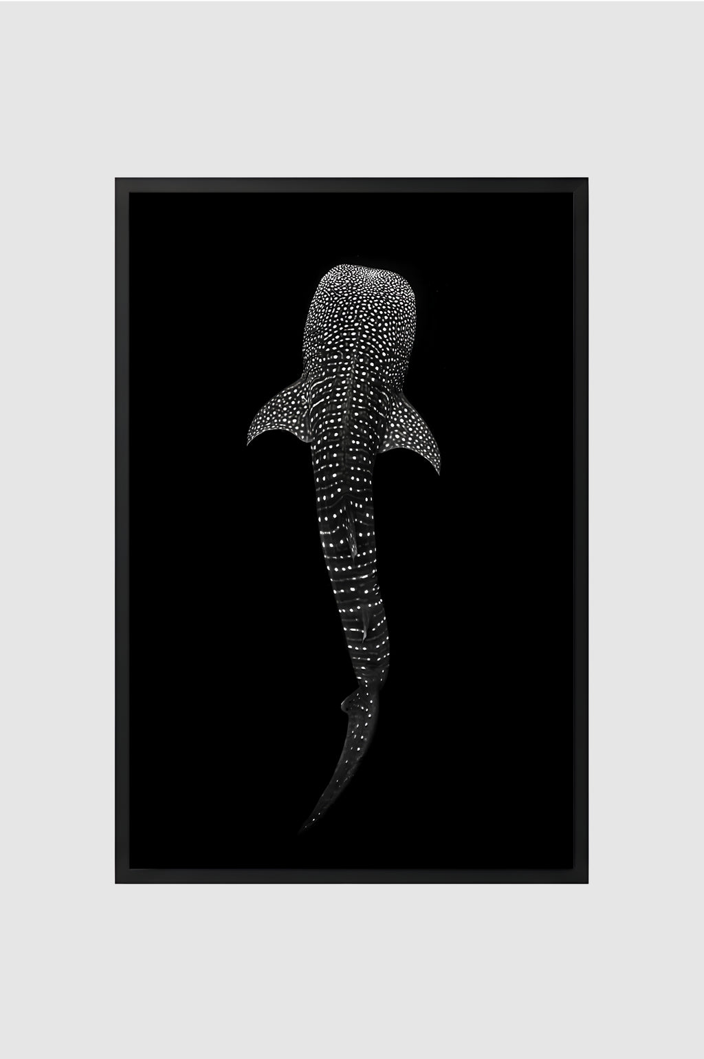 Fauna no.001