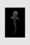Fauna no.001