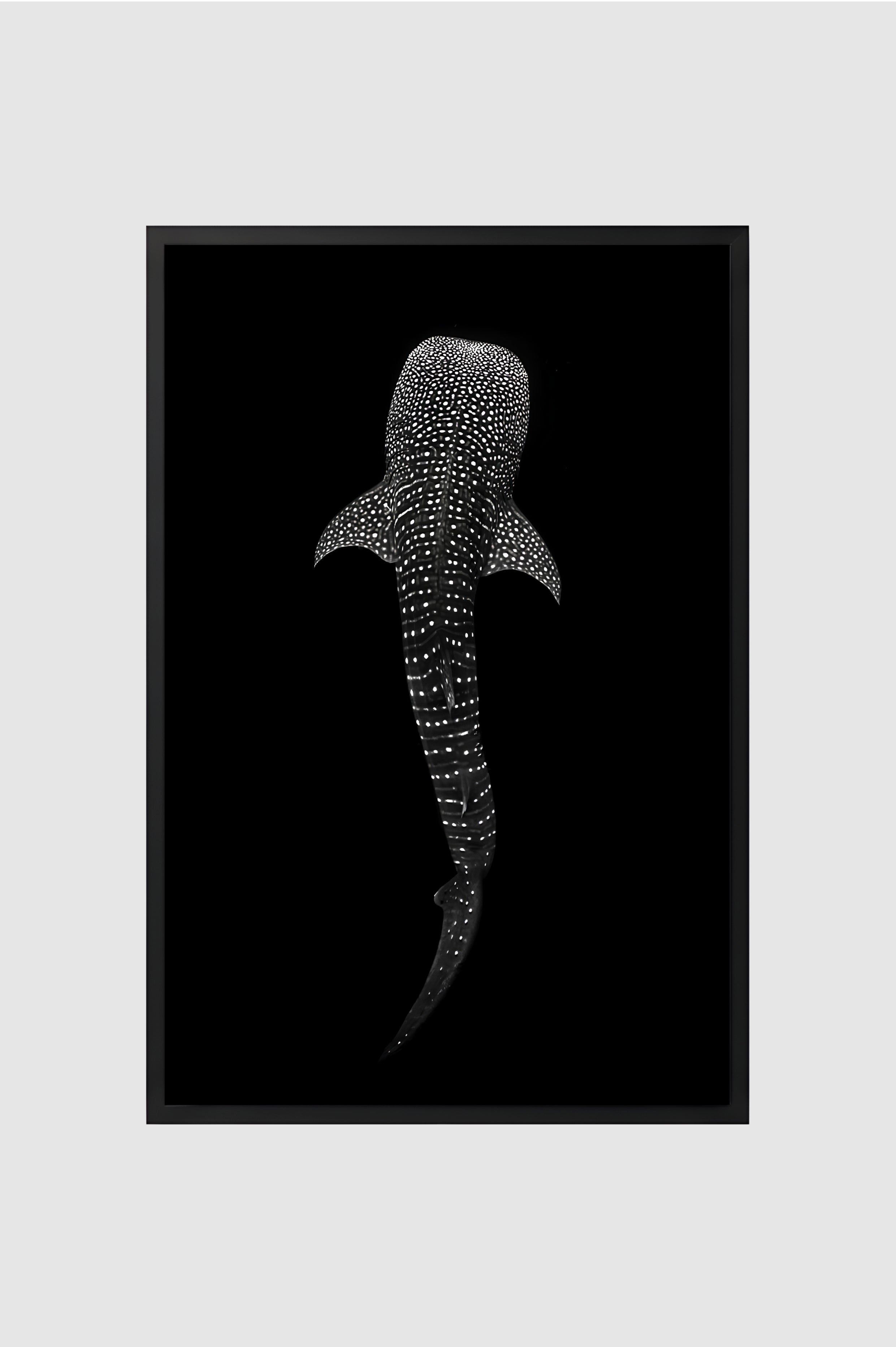Fauna no.001