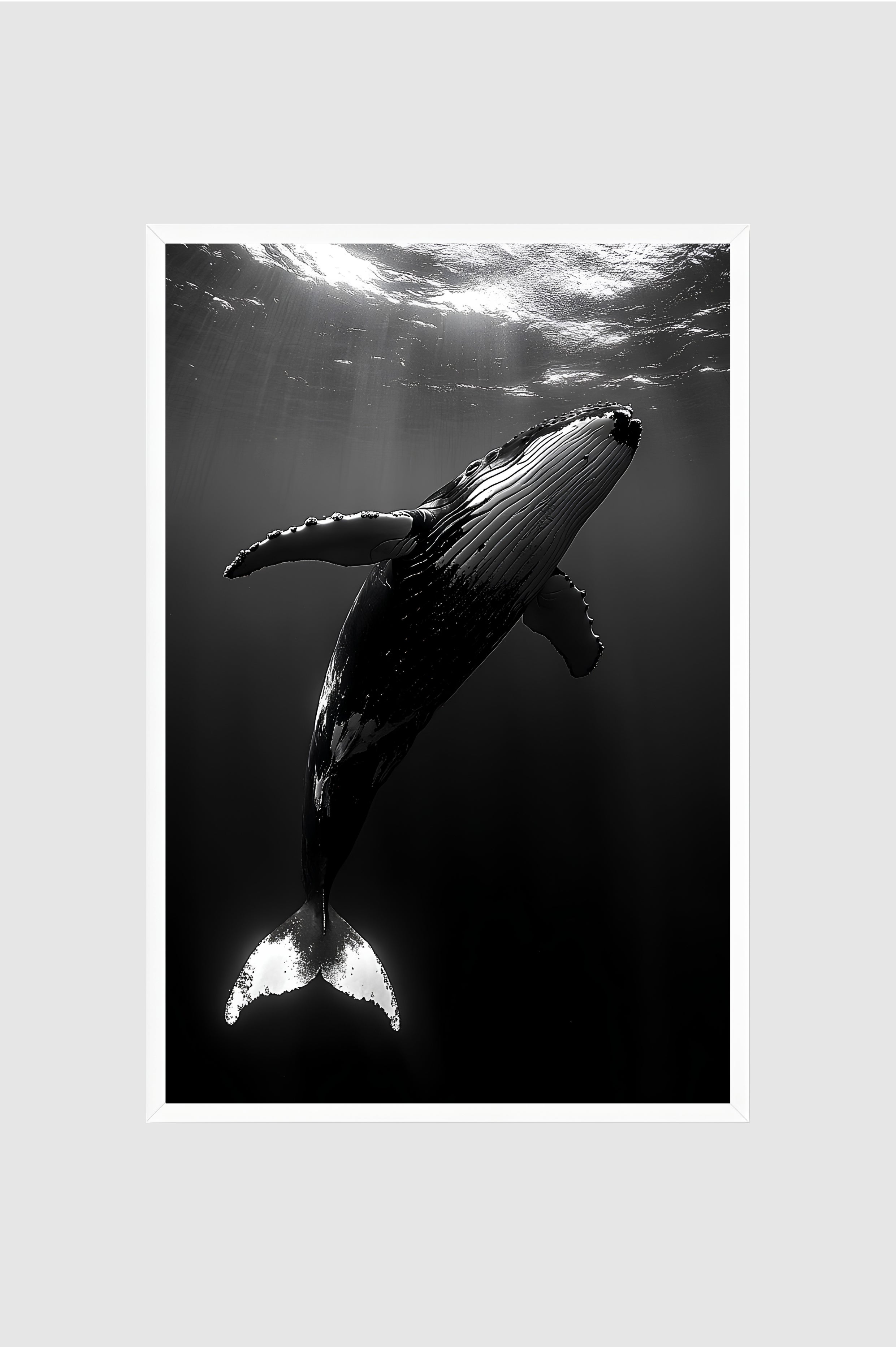 Fauna no.002
