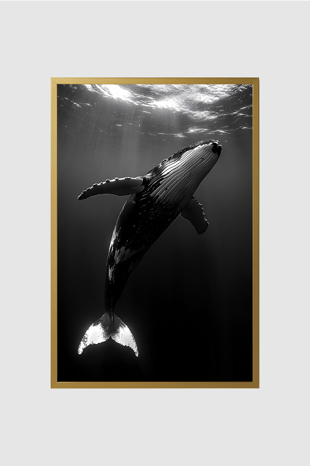 Fauna no.002