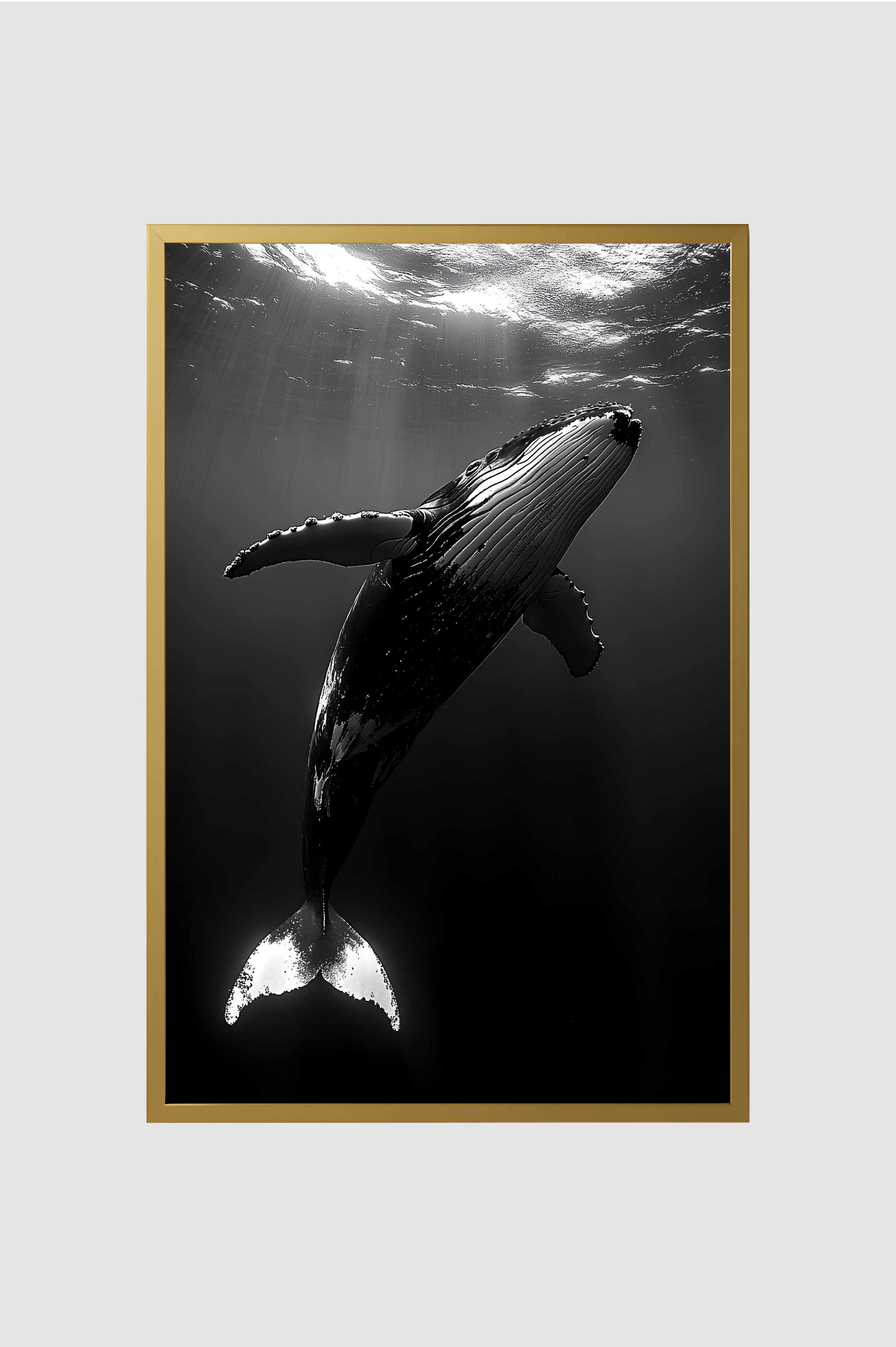 Fauna no.002