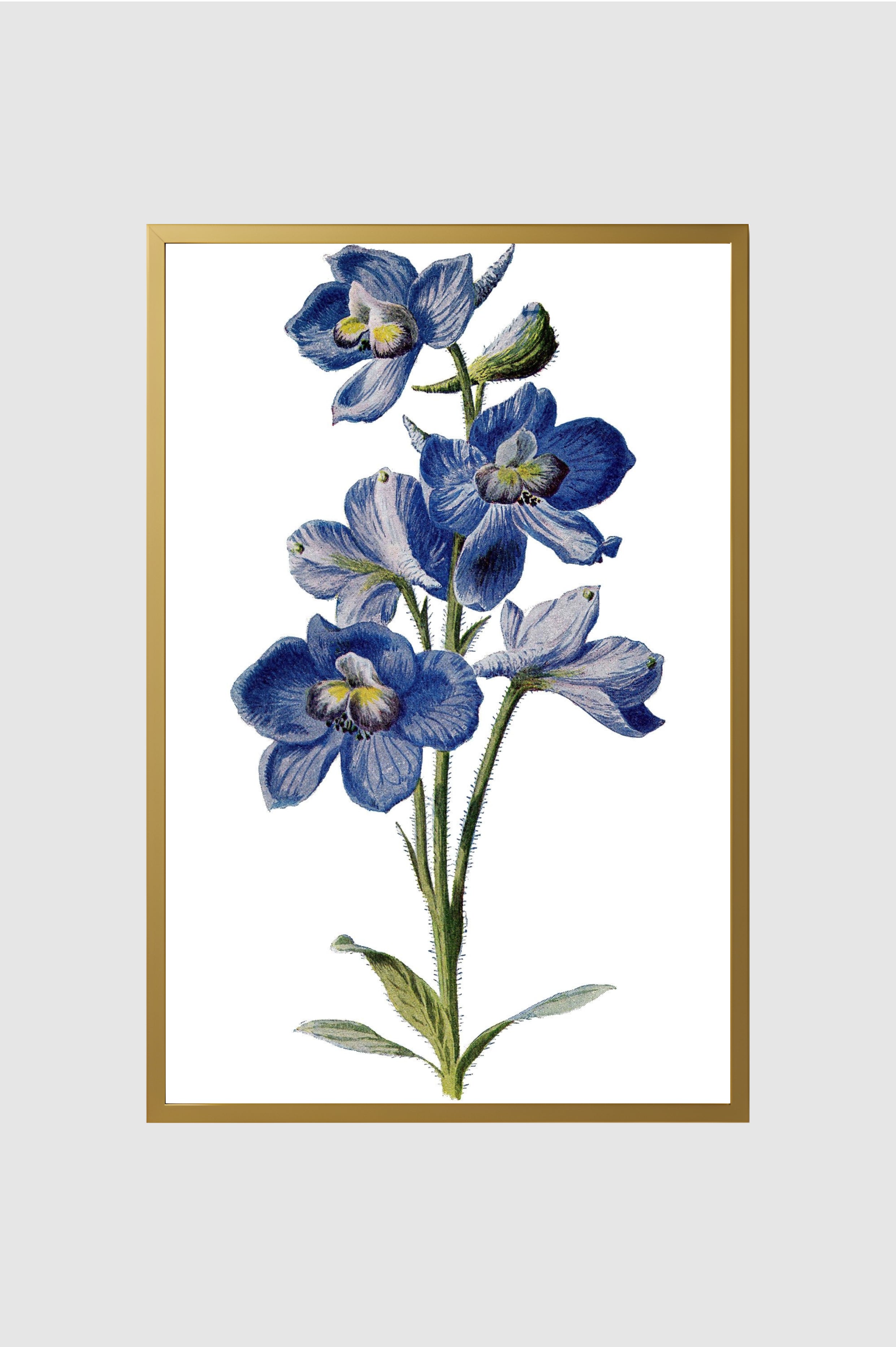 Flores no.002