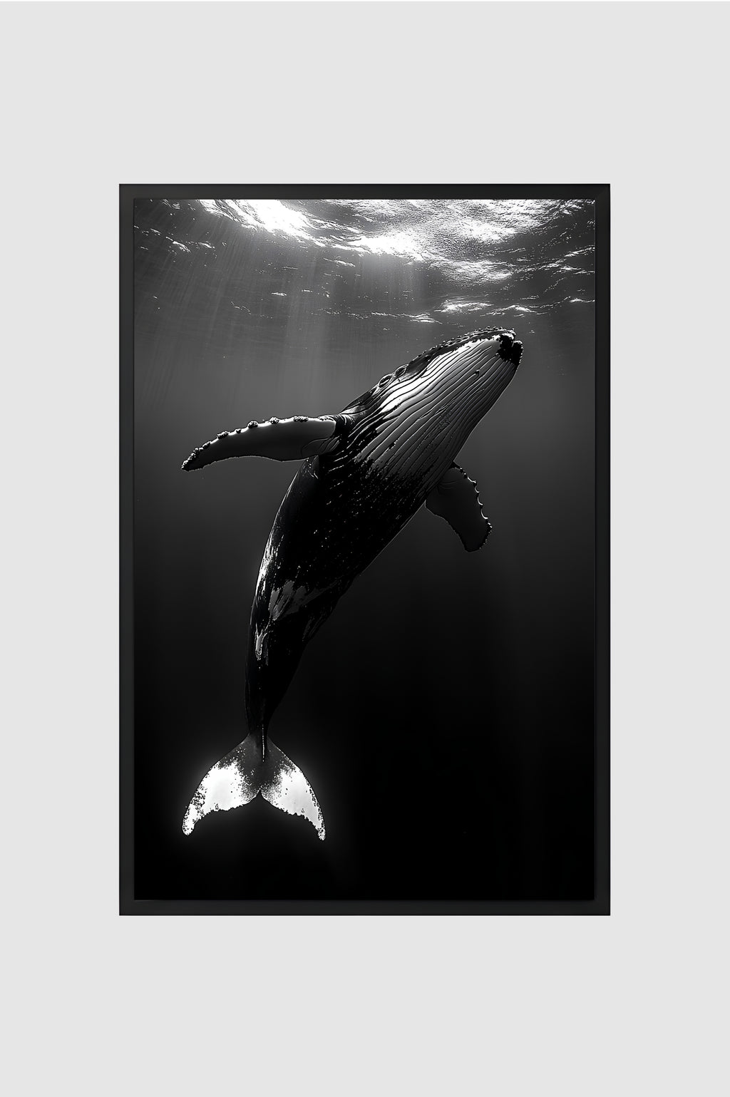 Fauna no.002