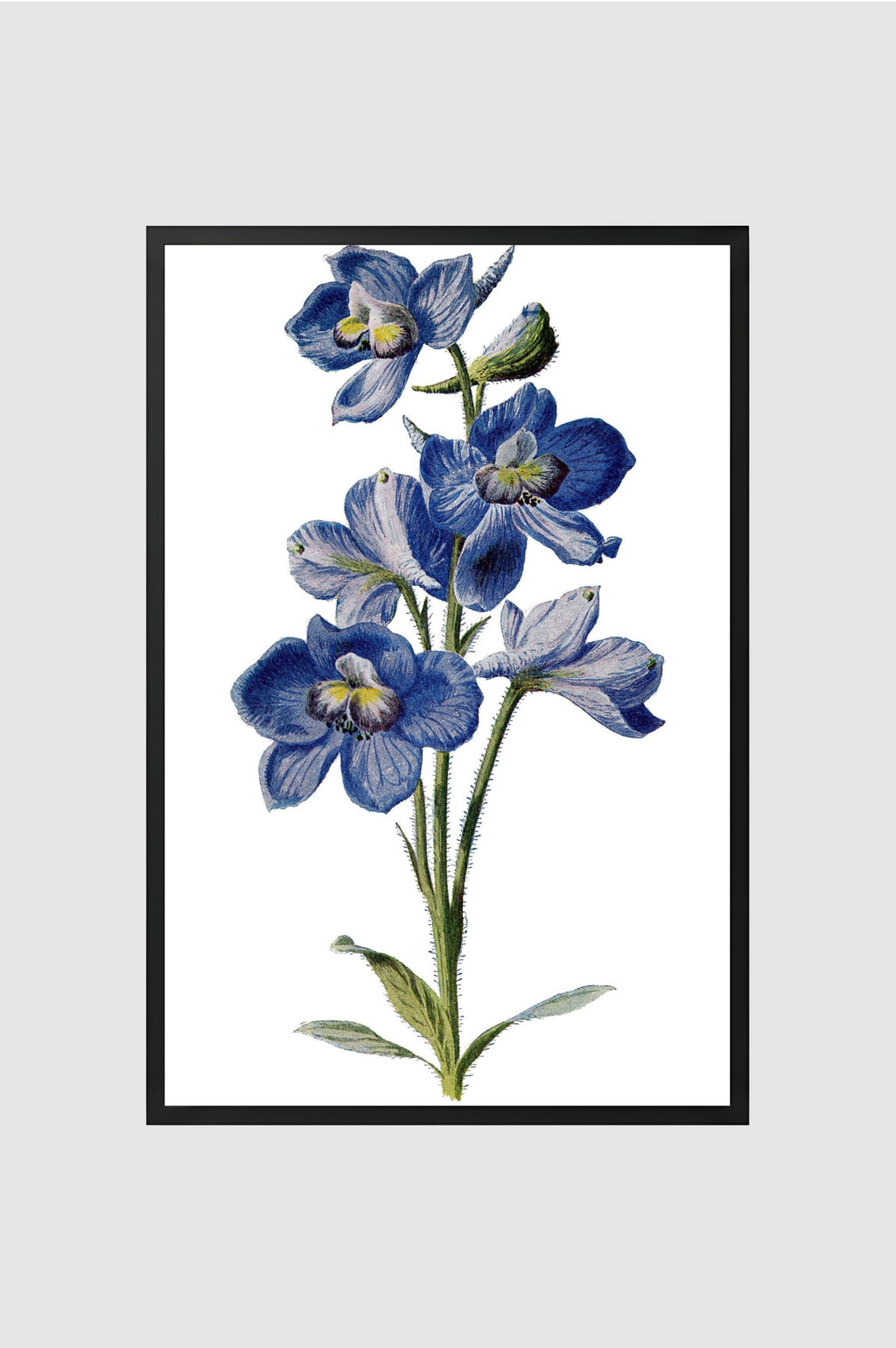 Flores no.002