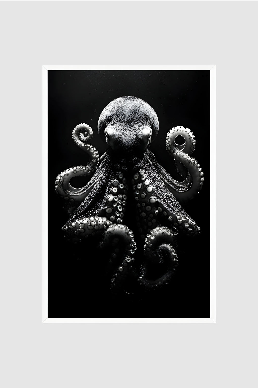 Fauna no.003
