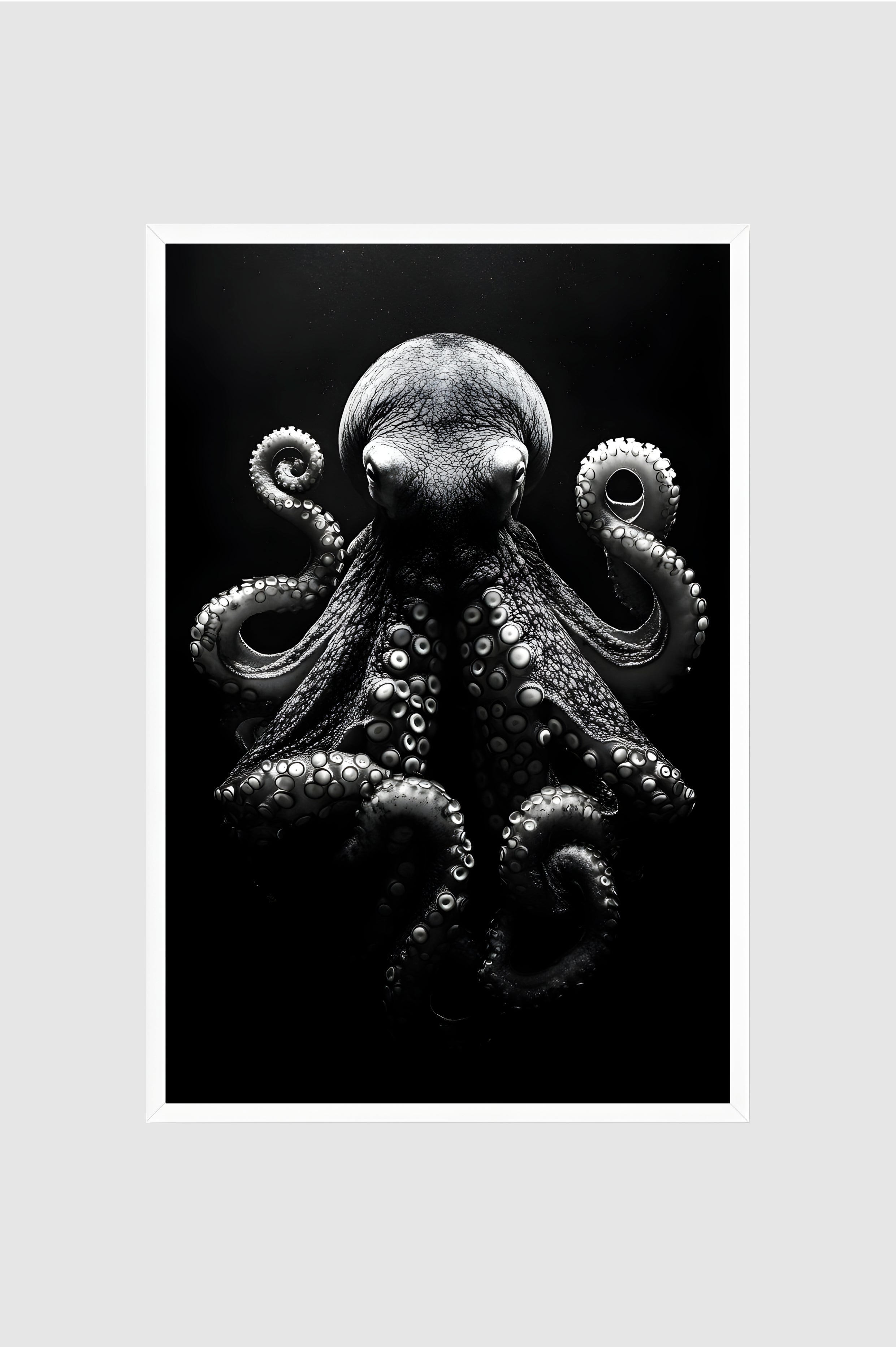 Fauna no.003