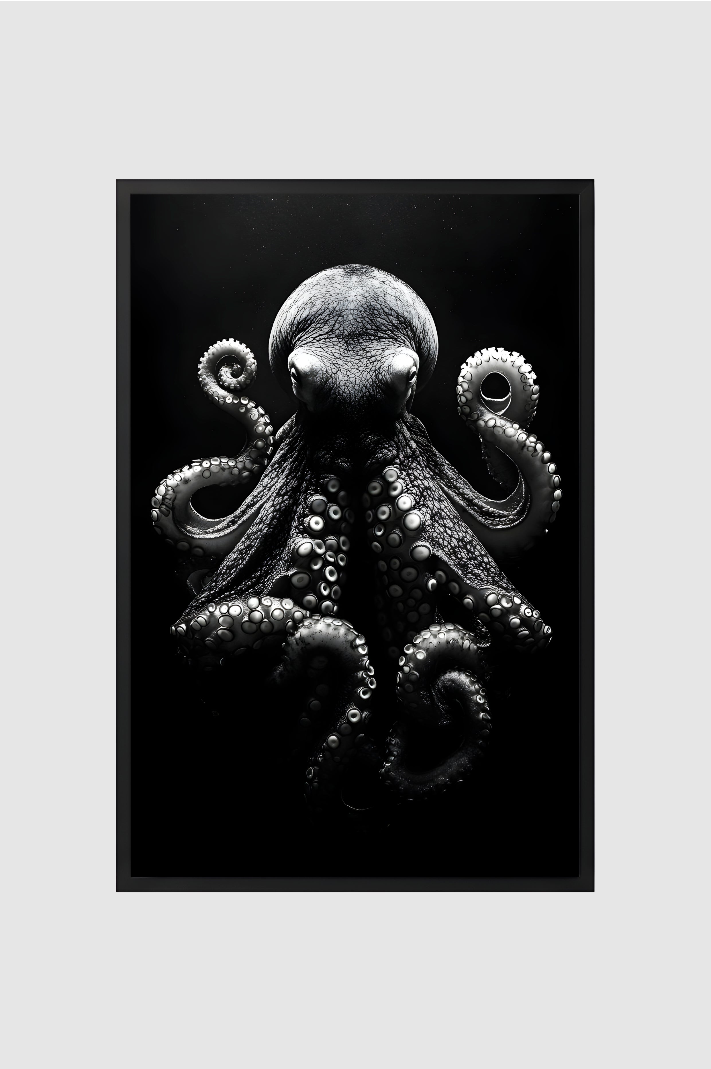 Fauna no.003
