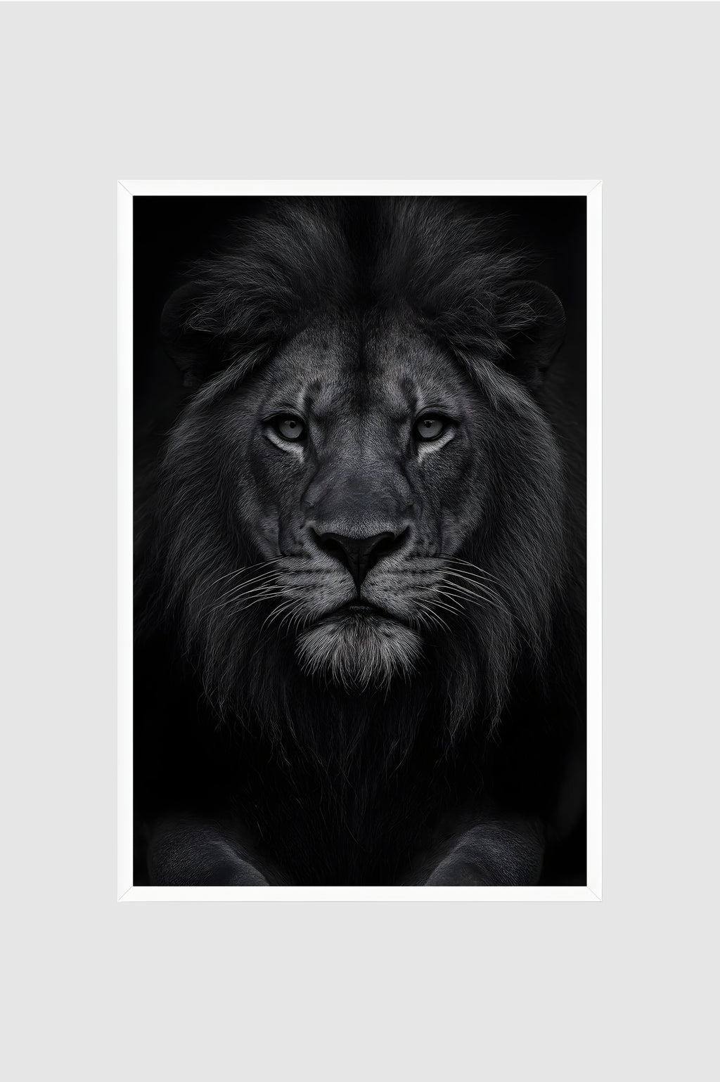 Fauna no.004
